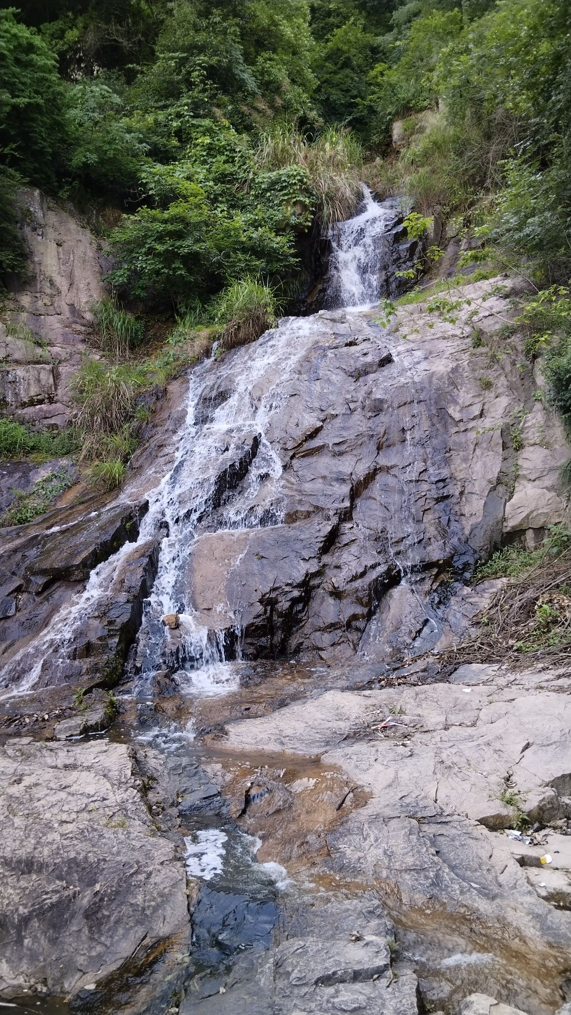 西郊森林公园旅行图片 2