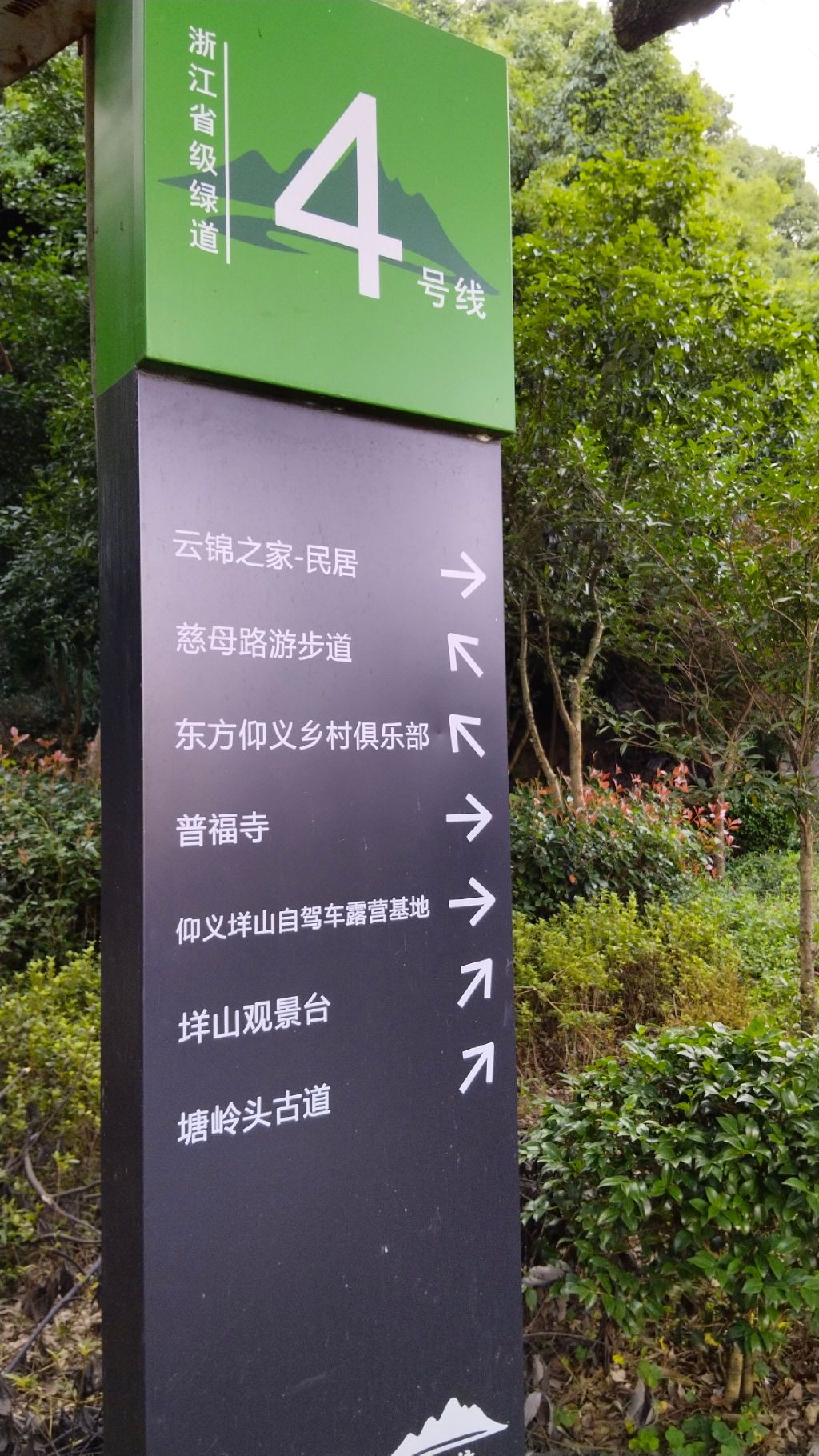 西郊森林公园旅行图片 1