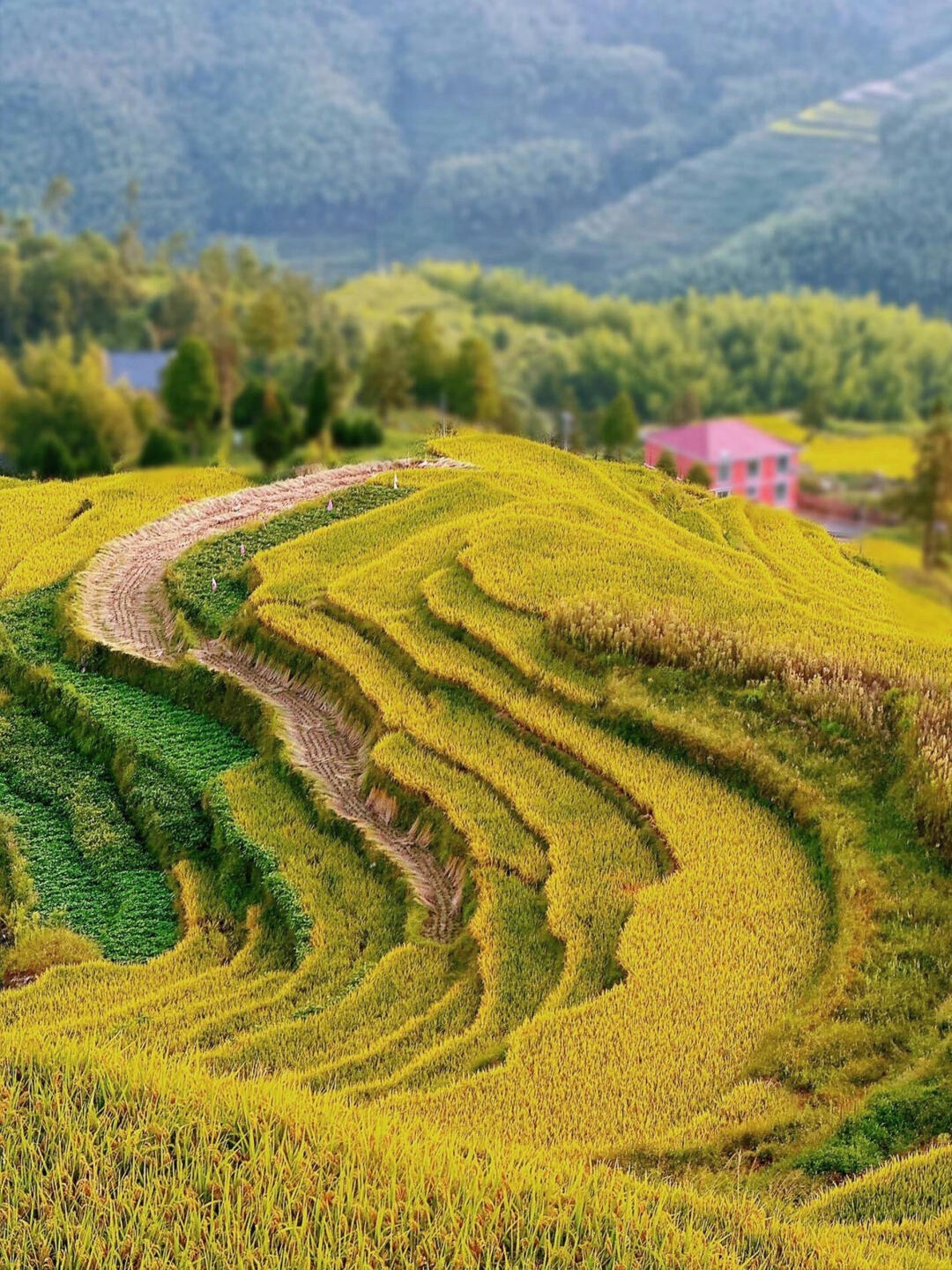 寨寮溪风景区旅行图片 2