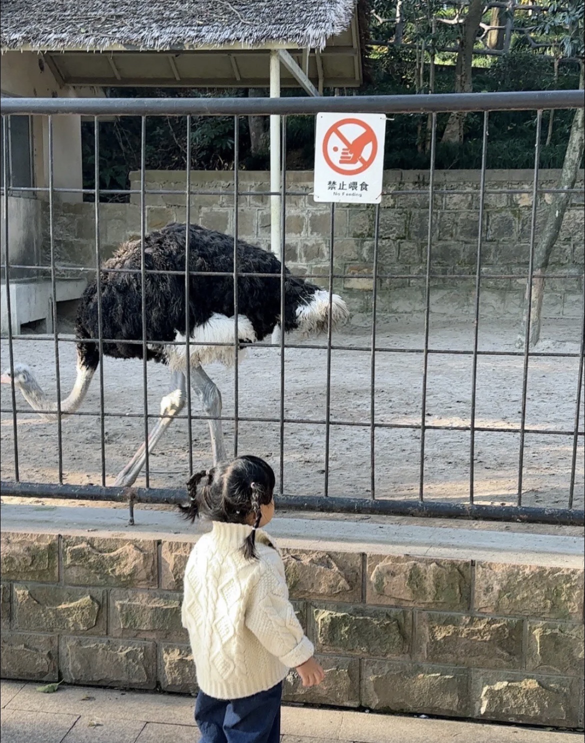 温州动物园旅行图片 2