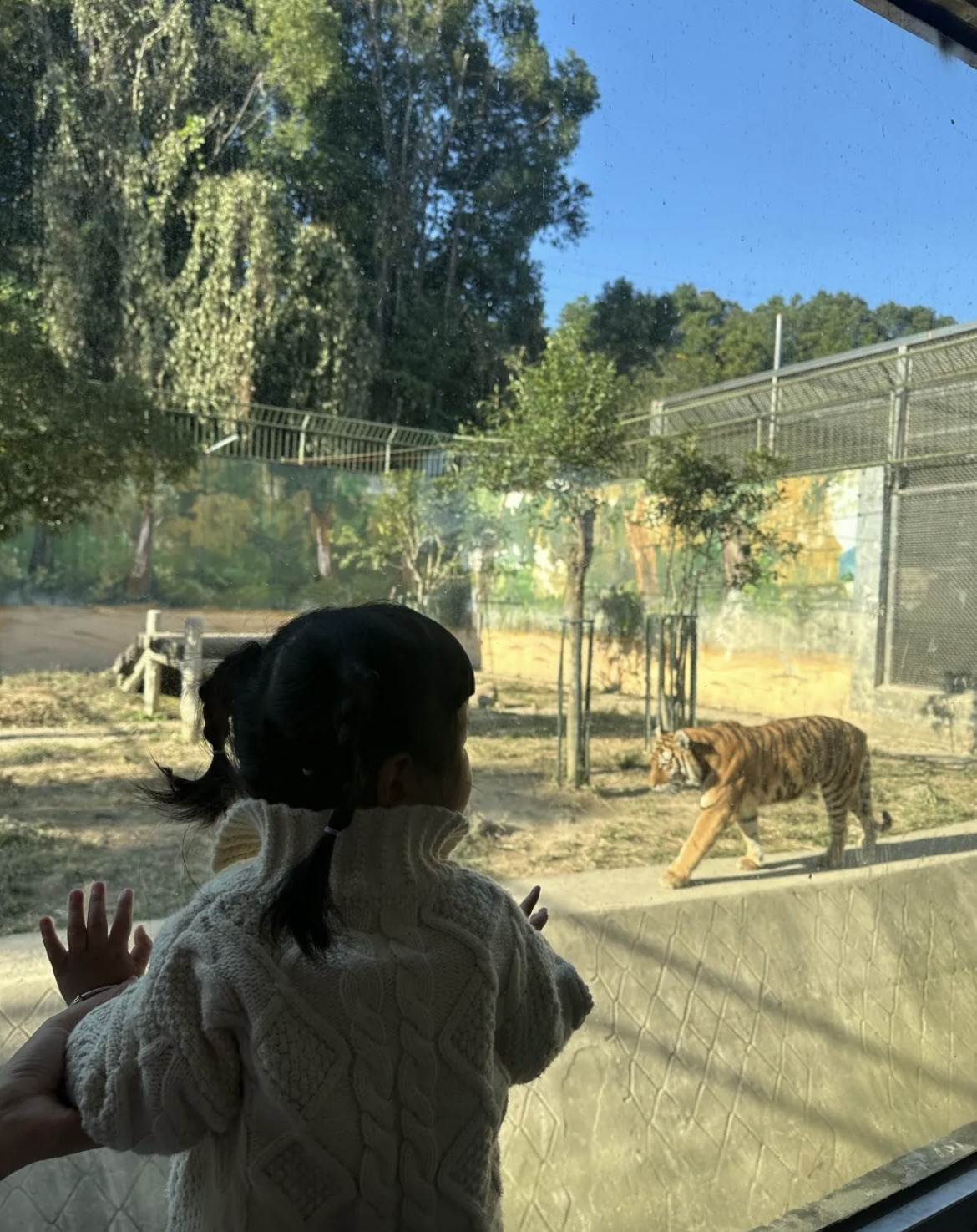 温州动物园旅行图片 3