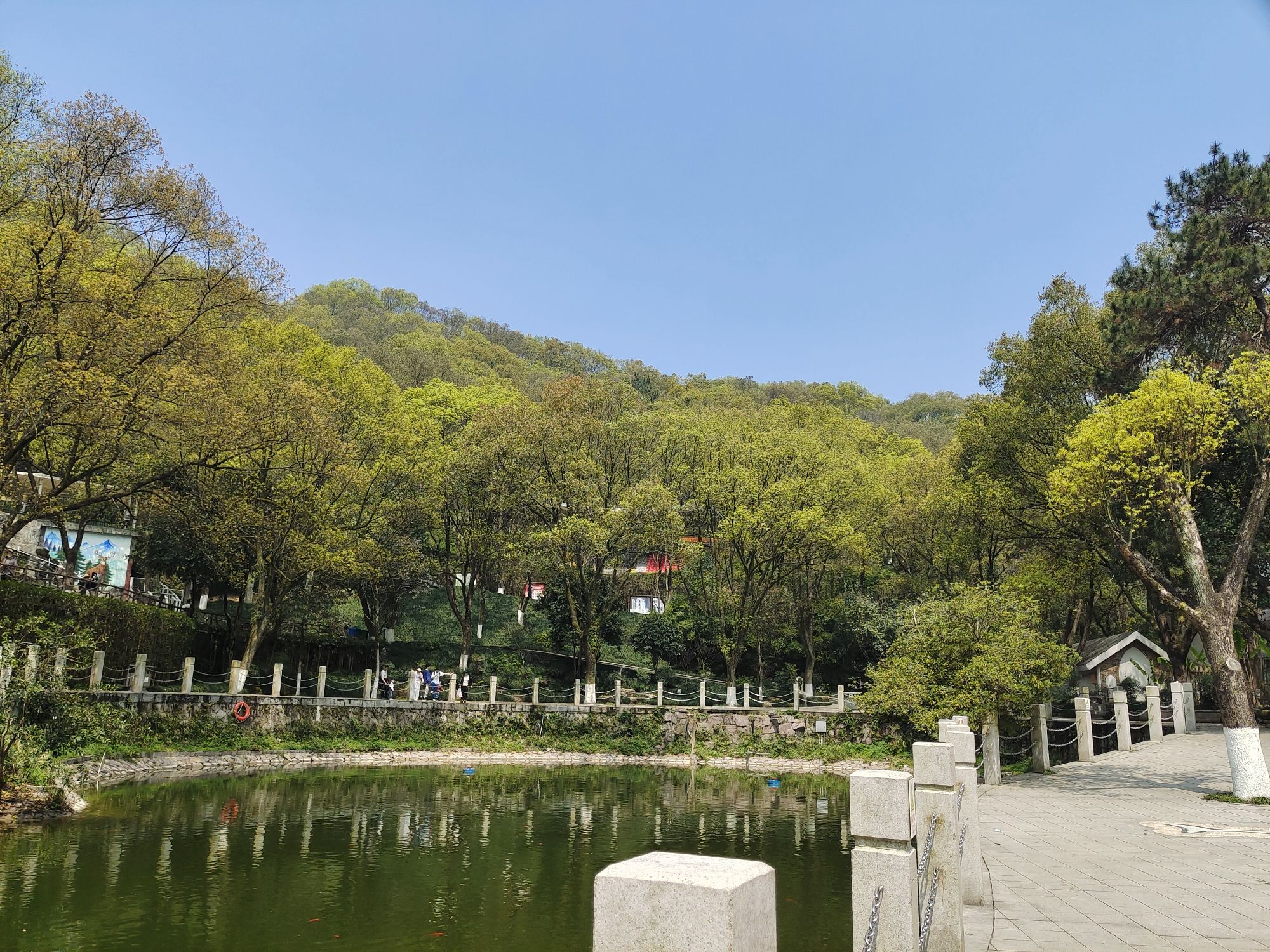 温州动物园旅行图片 2