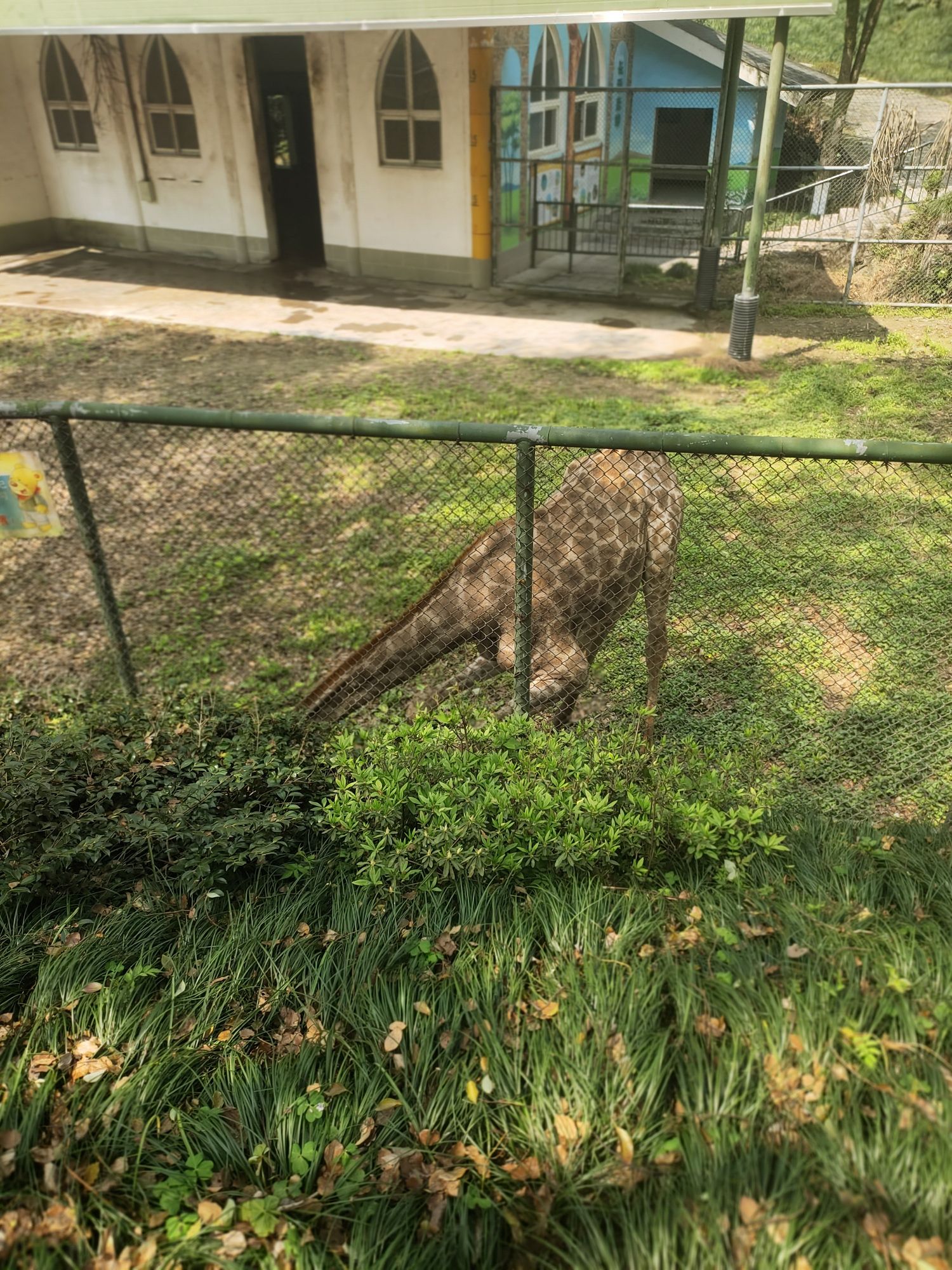 温州动物园旅行图片 2