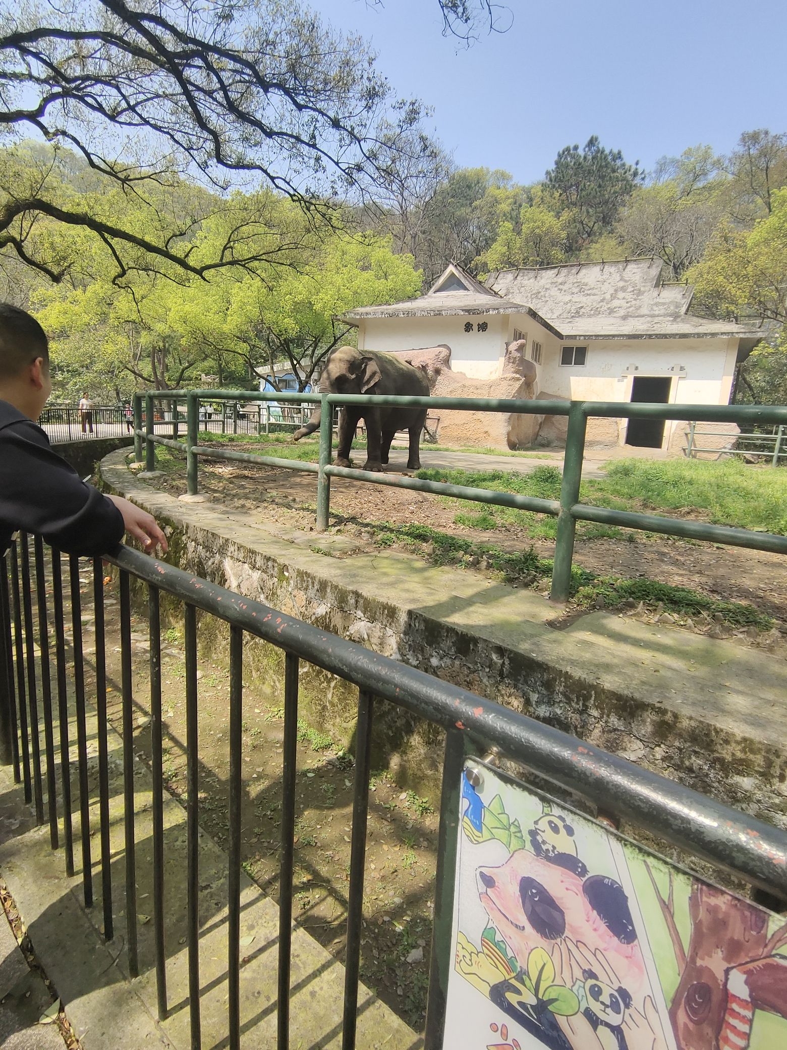 温州动物园旅行图片 3