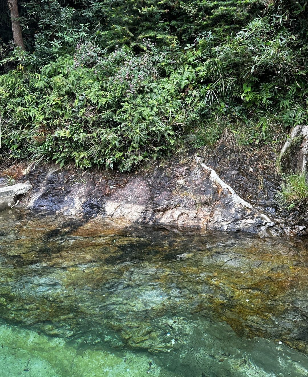 中雁荡山风景区旅行图片 3