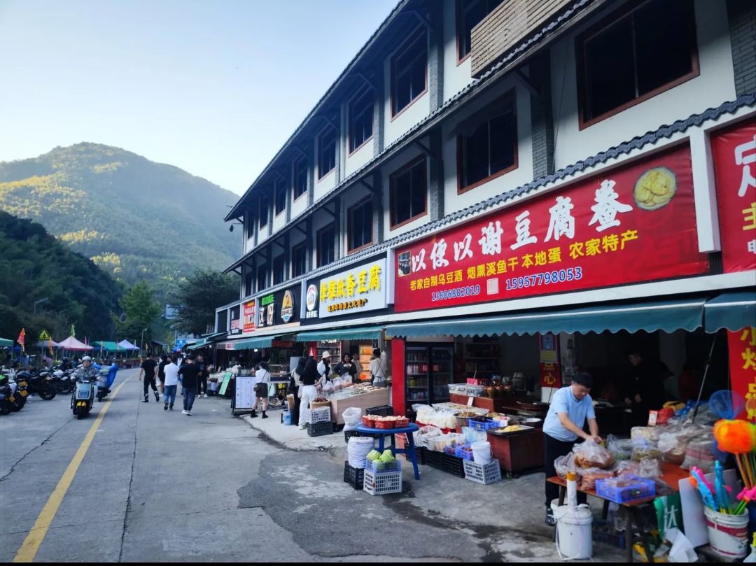 泽雅风景名胜区旅行图片 1