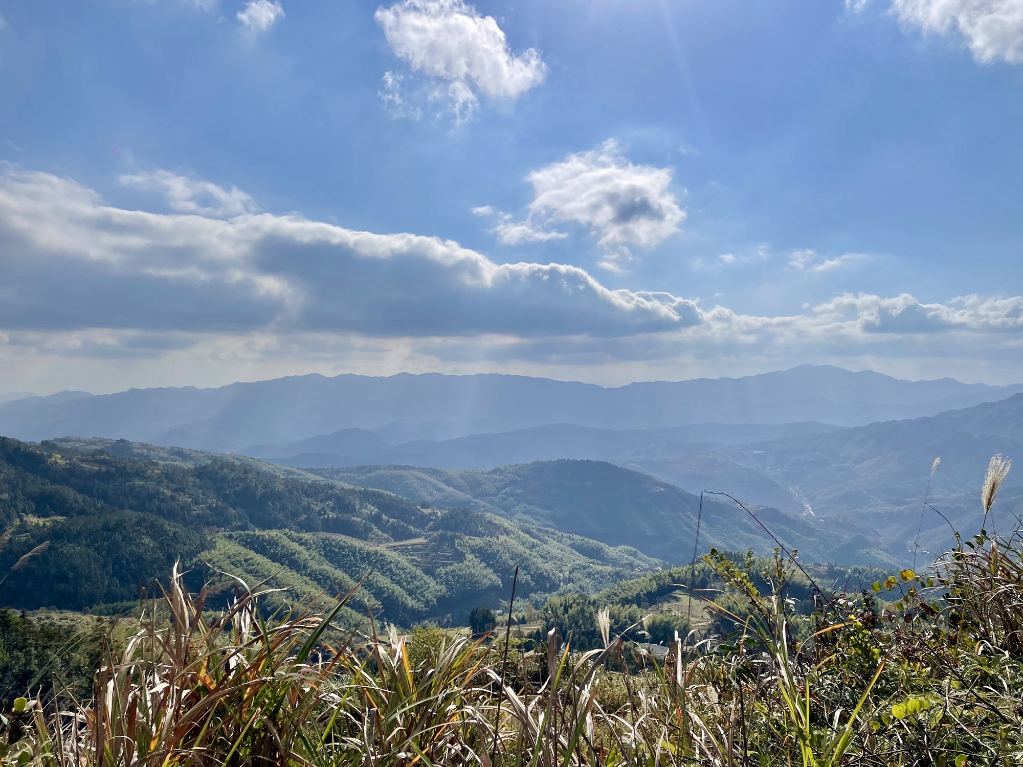 泽雅风景名胜区旅行图片 3