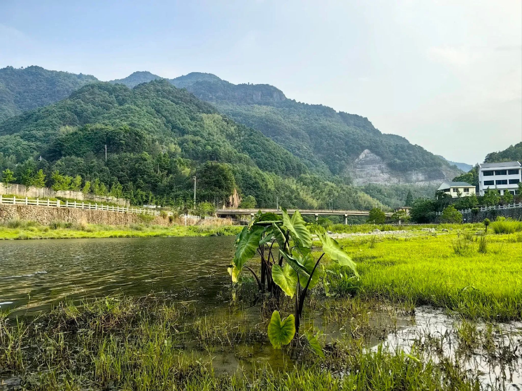 泽雅风景名胜区旅行图片 1