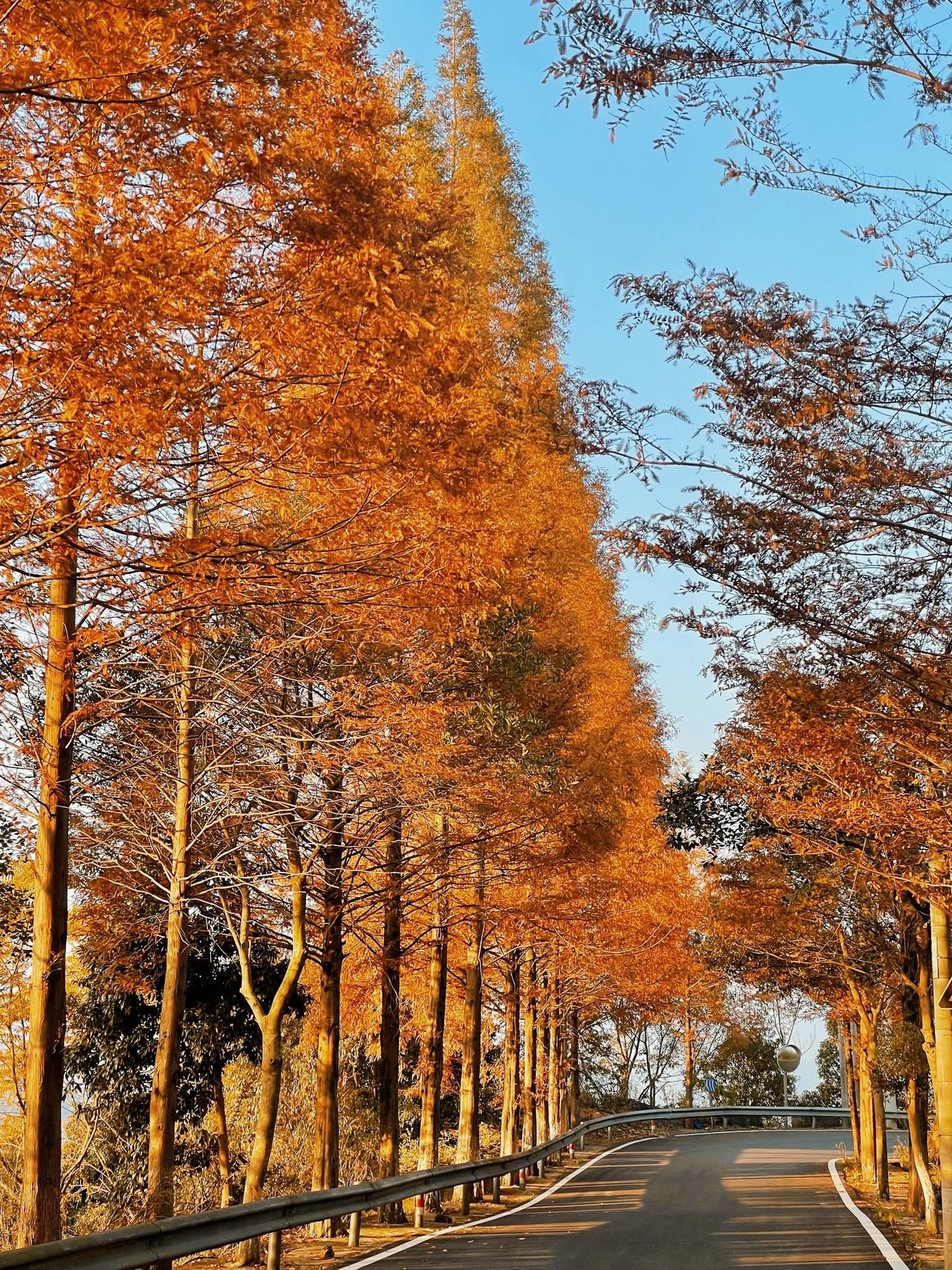 泽雅风景名胜区旅行图片 1