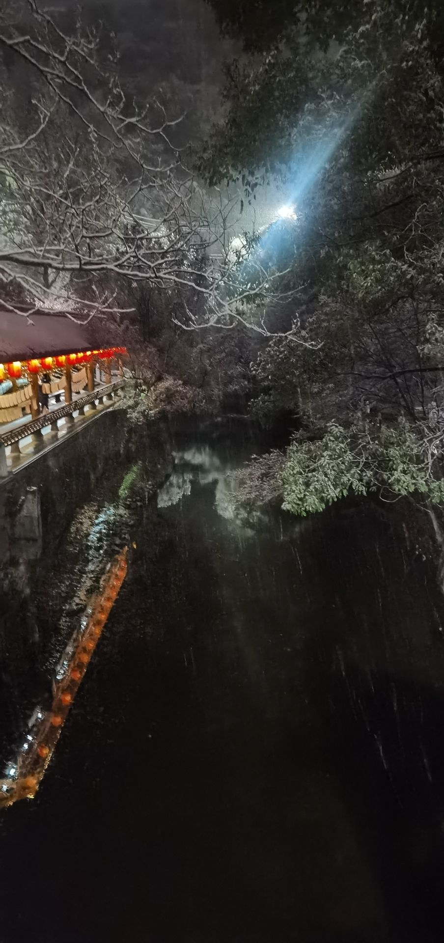 东塔公园旅行图片 1