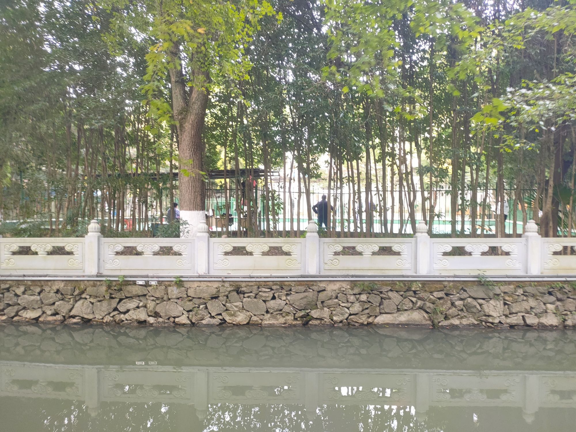东塔公园旅行图片 2