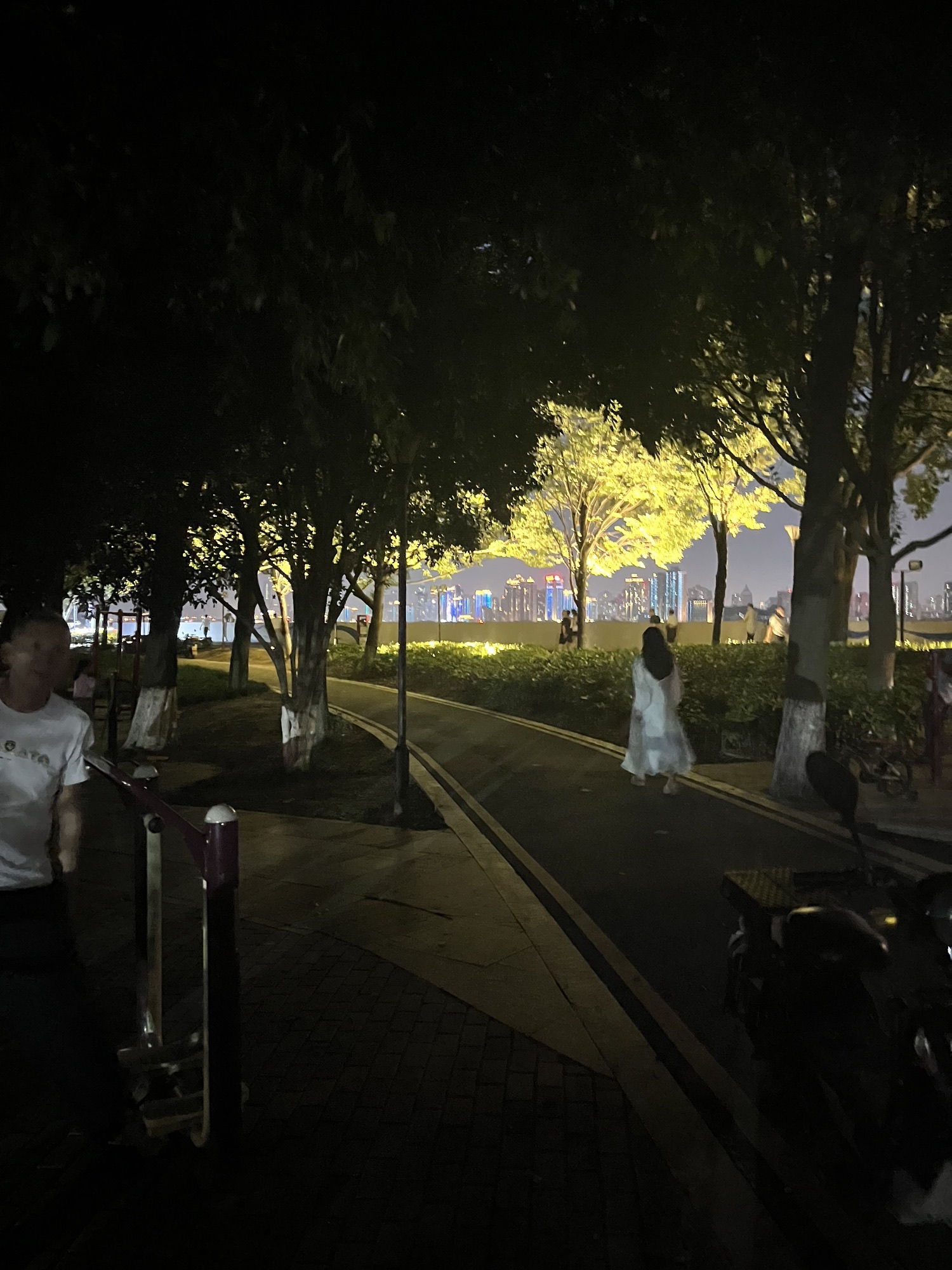 滨江公园旅行图片 1