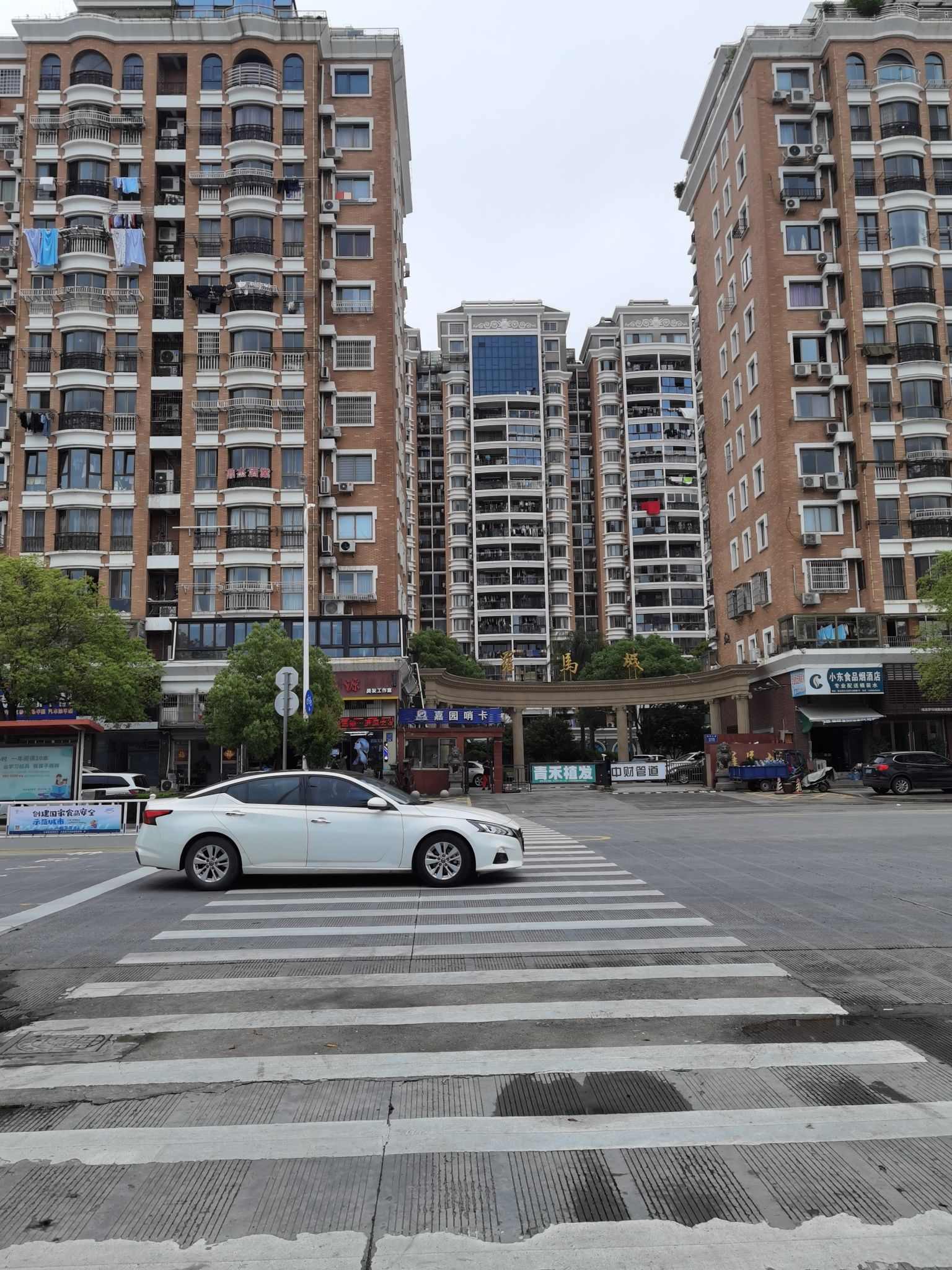 滨江公园旅行图片 2