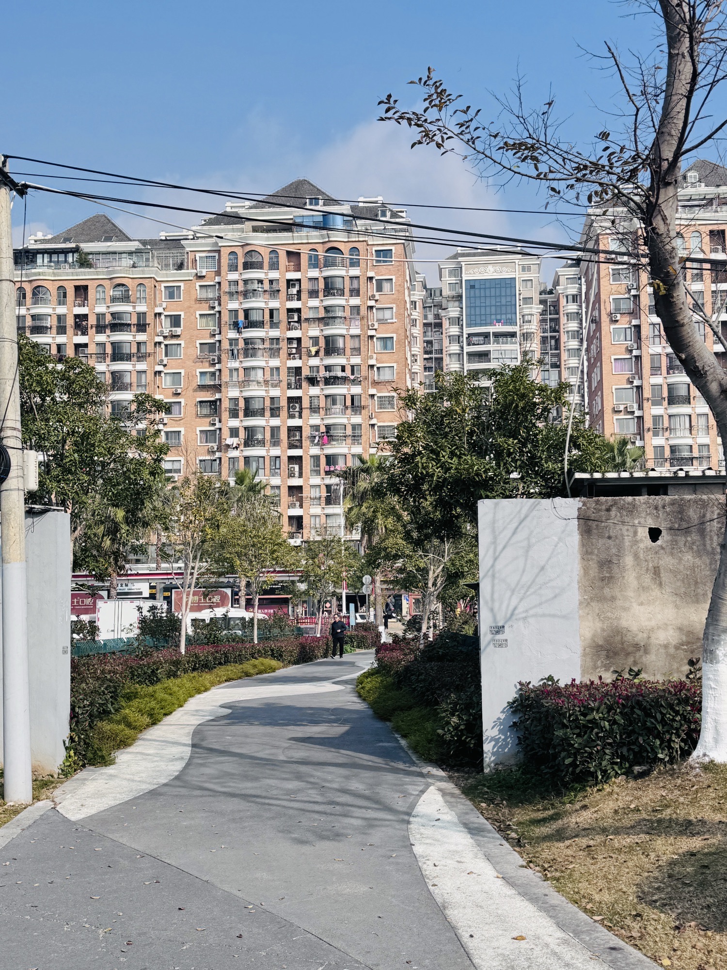 滨江公园旅行图片 2