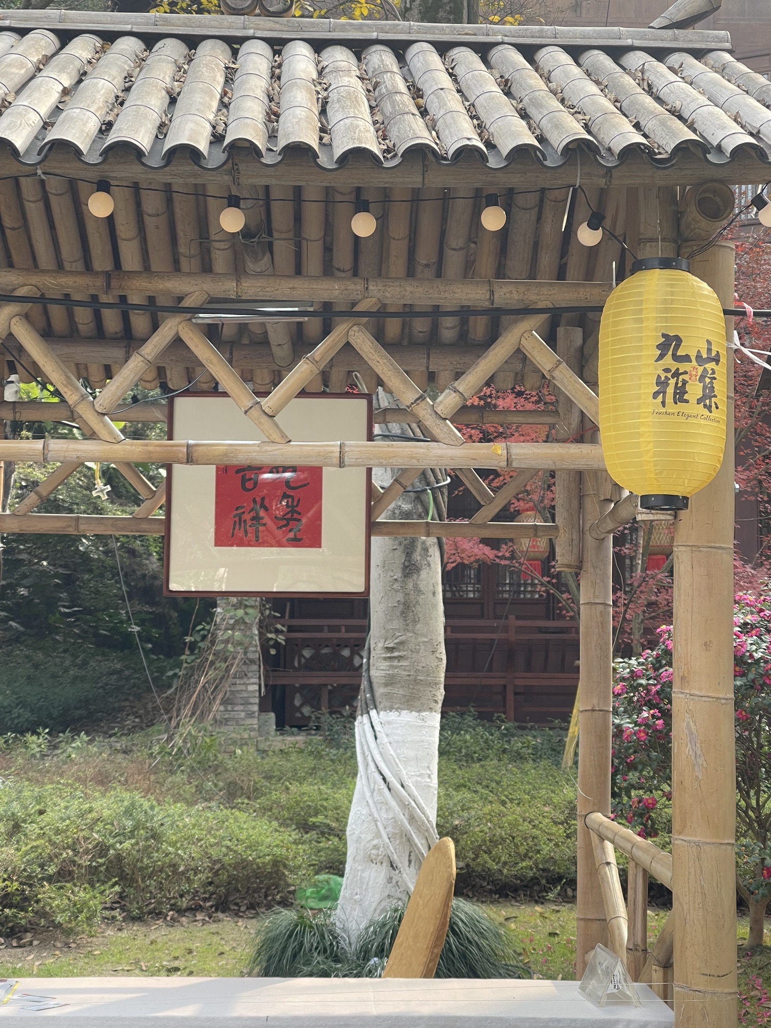 九山公园旅行图片 3