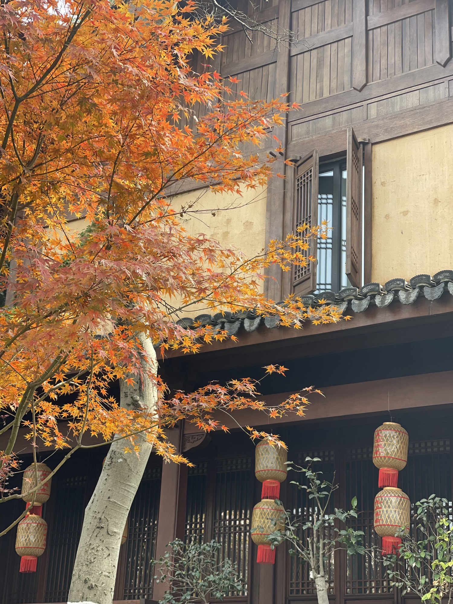 九山公园旅行图片 1