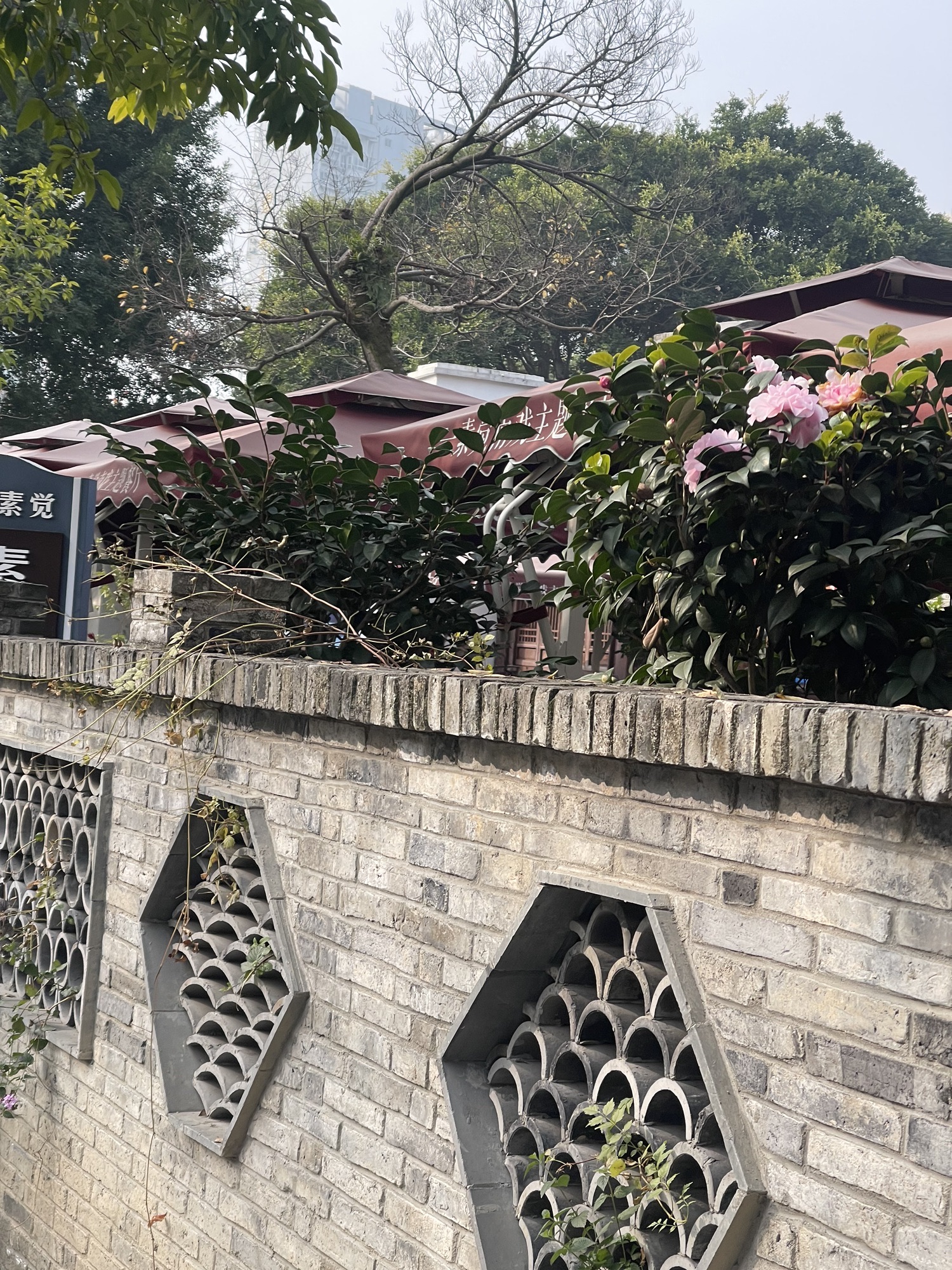 九山公园旅行图片 2