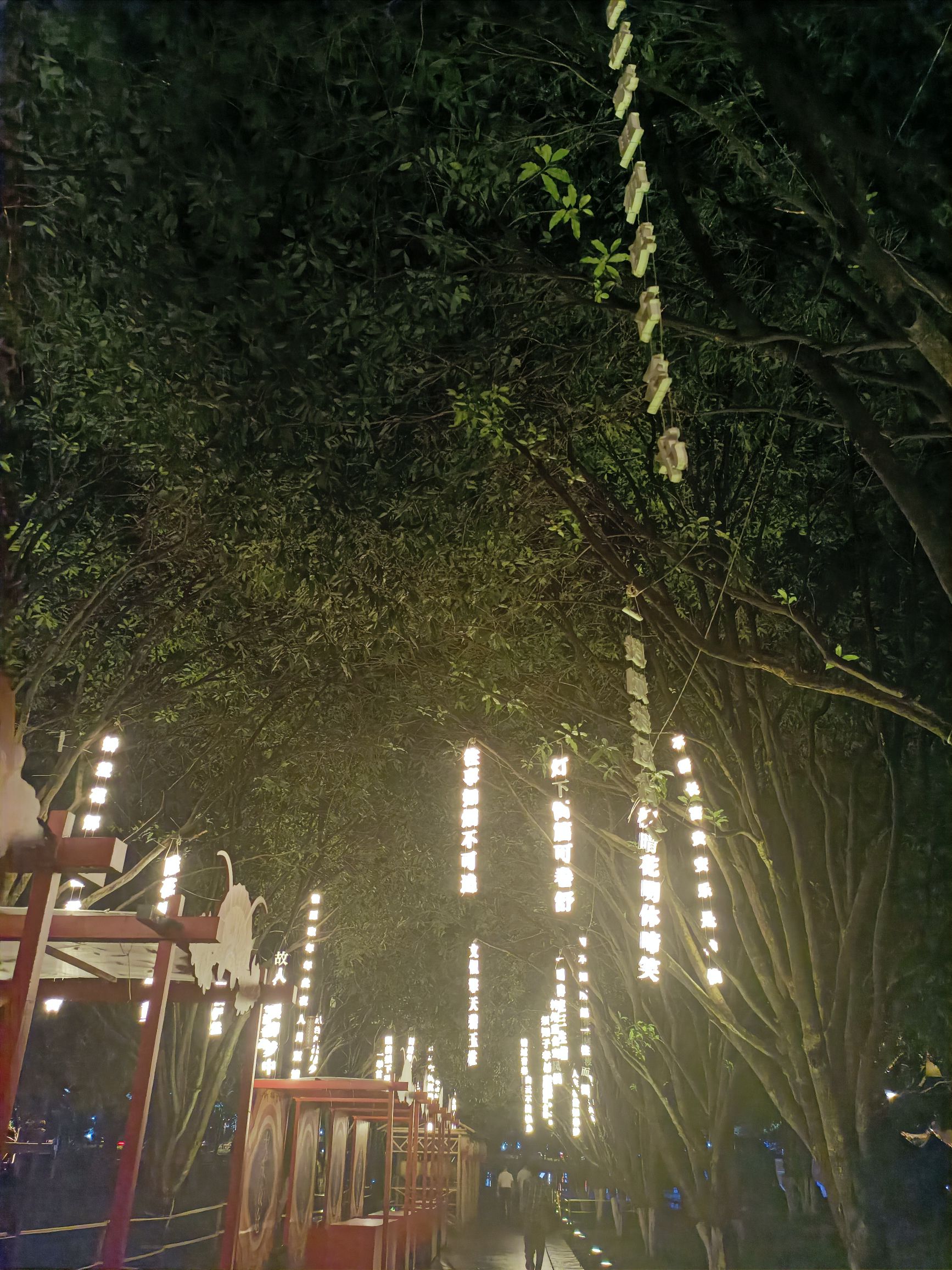 九山公园旅行图片 1