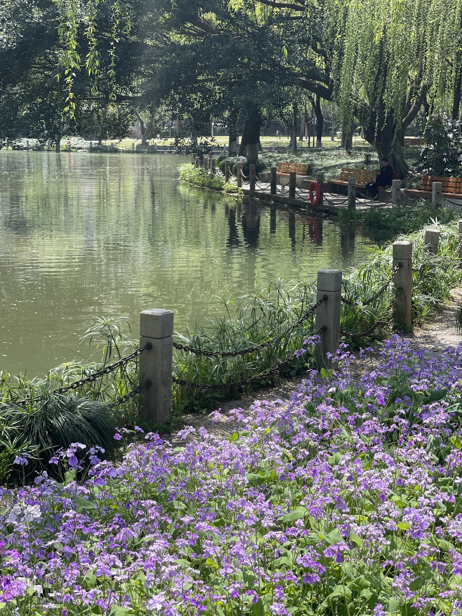 马鞍池公园旅行图片 1