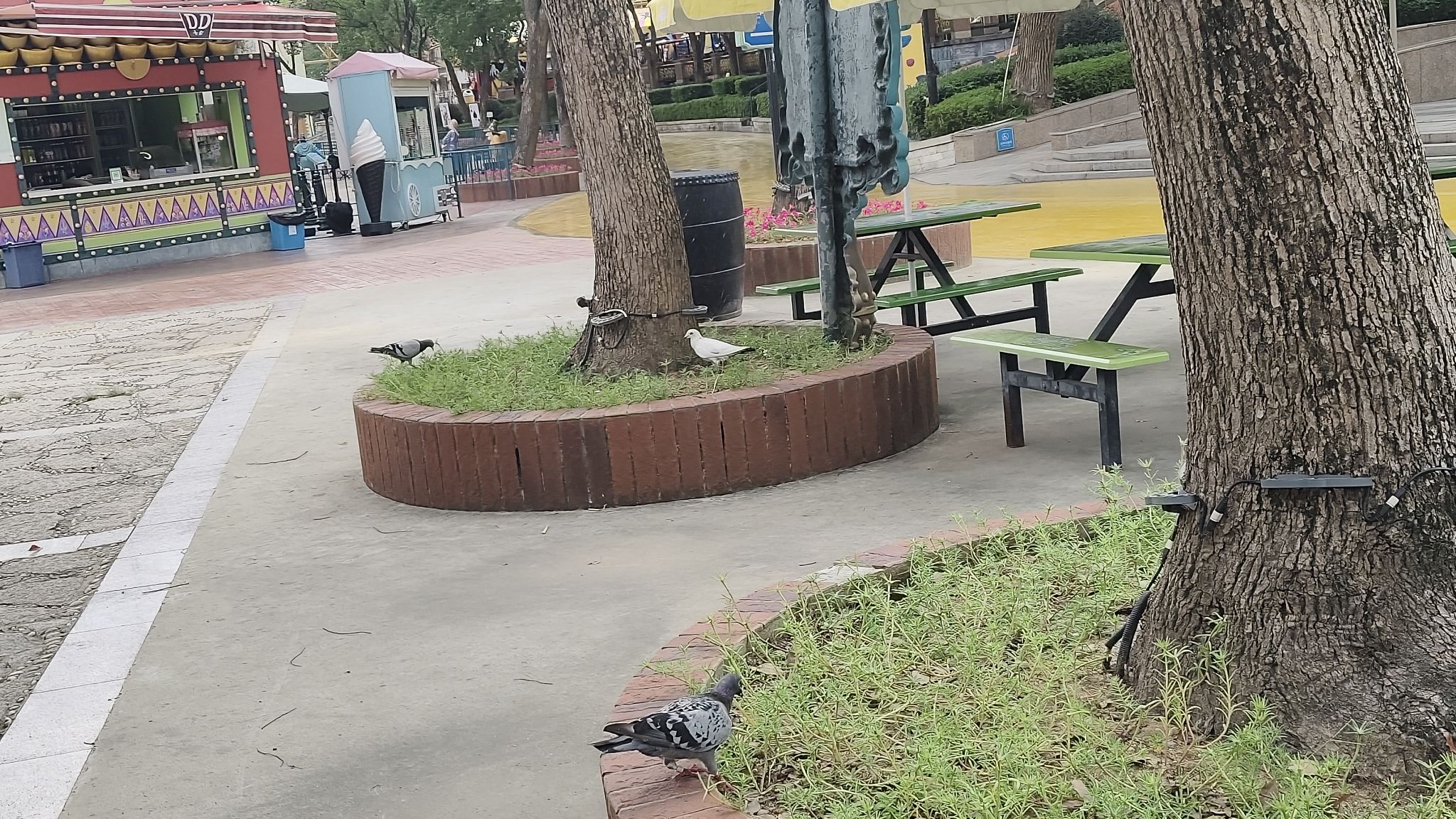 温州乐园旅行图片 2
