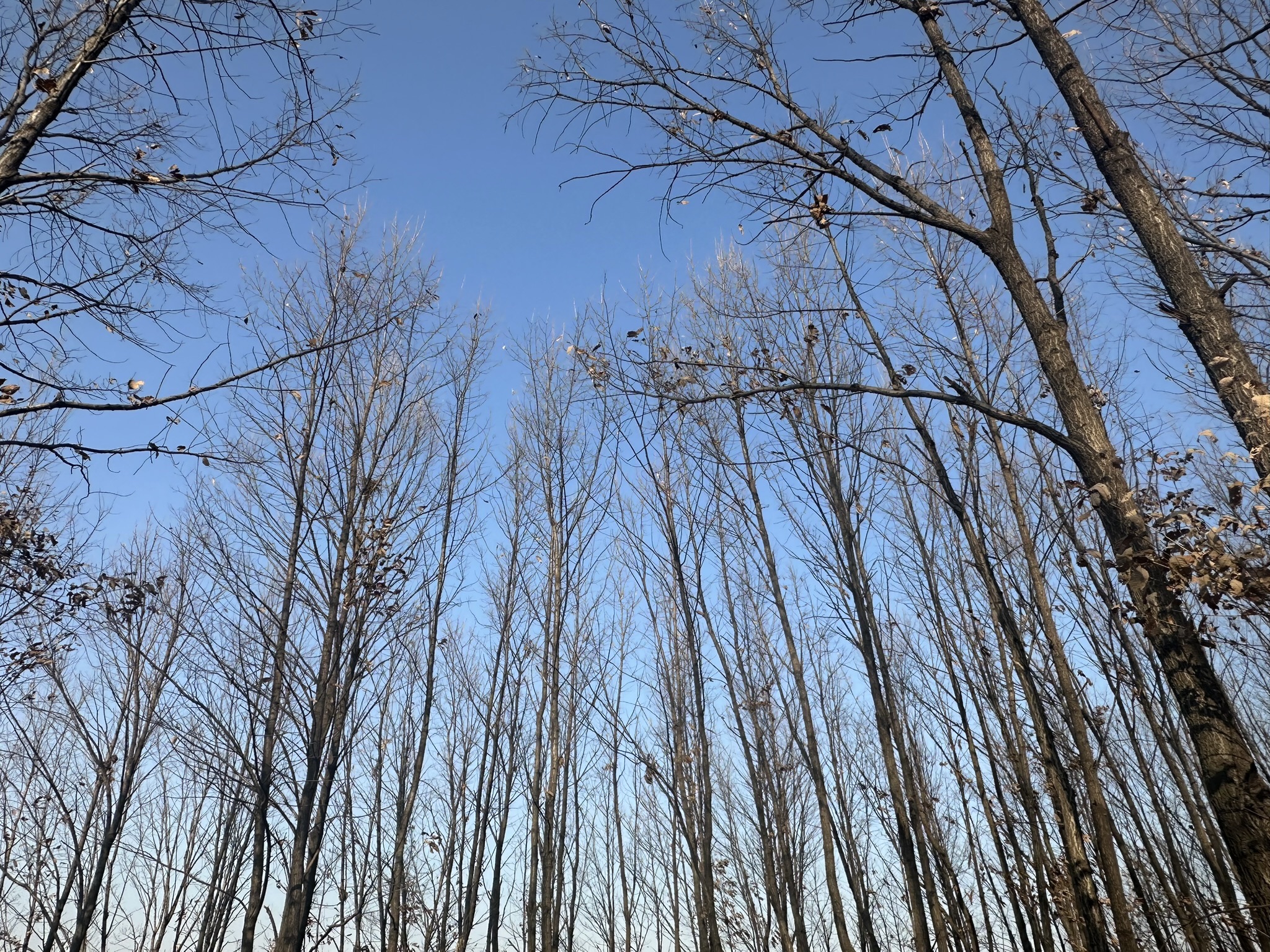 康庄公园旅行图片 3