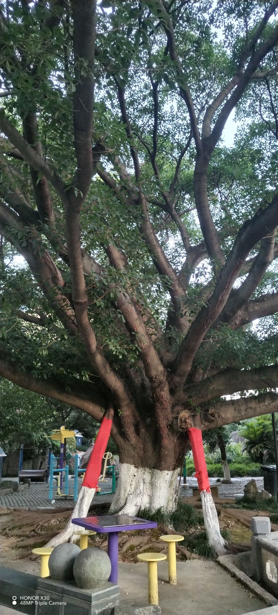 垟底公园旅行图片 3