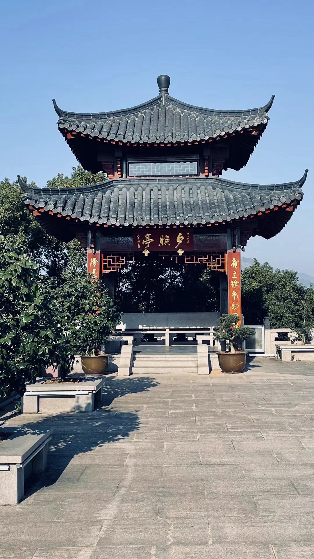 桔坡山公园旅行图片 3
