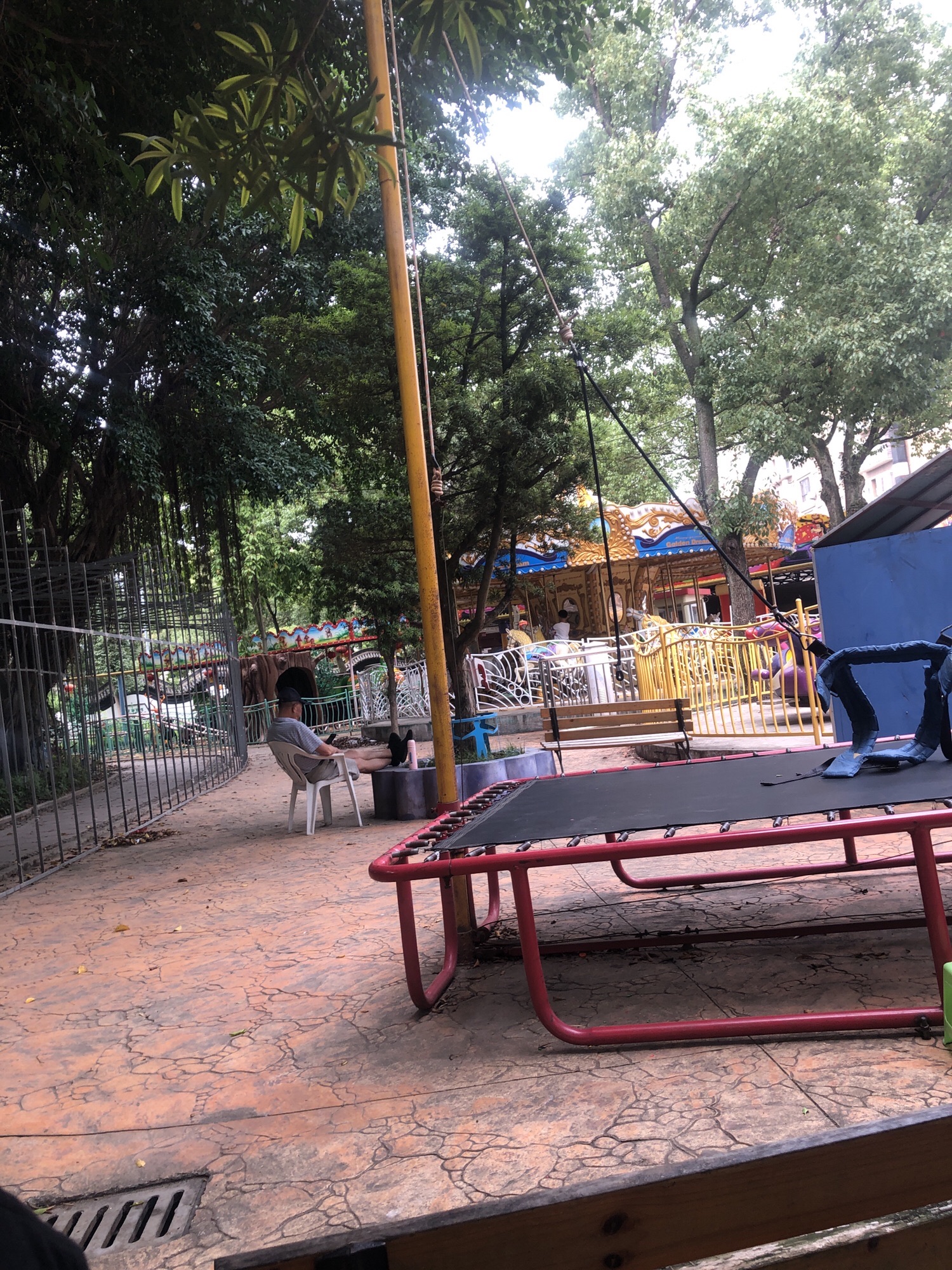 前岸公园旅行图片 1