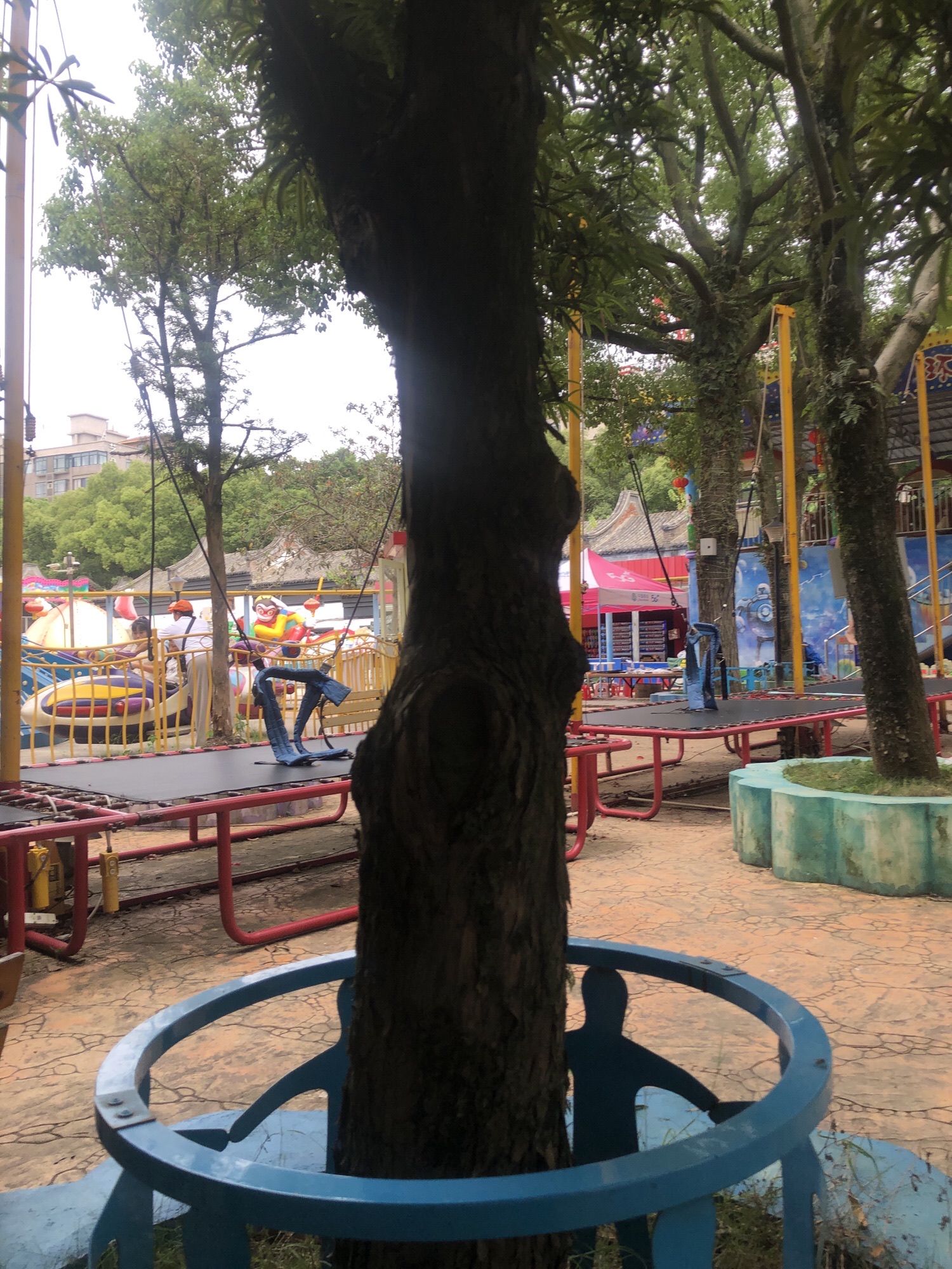前岸公园旅行图片 2