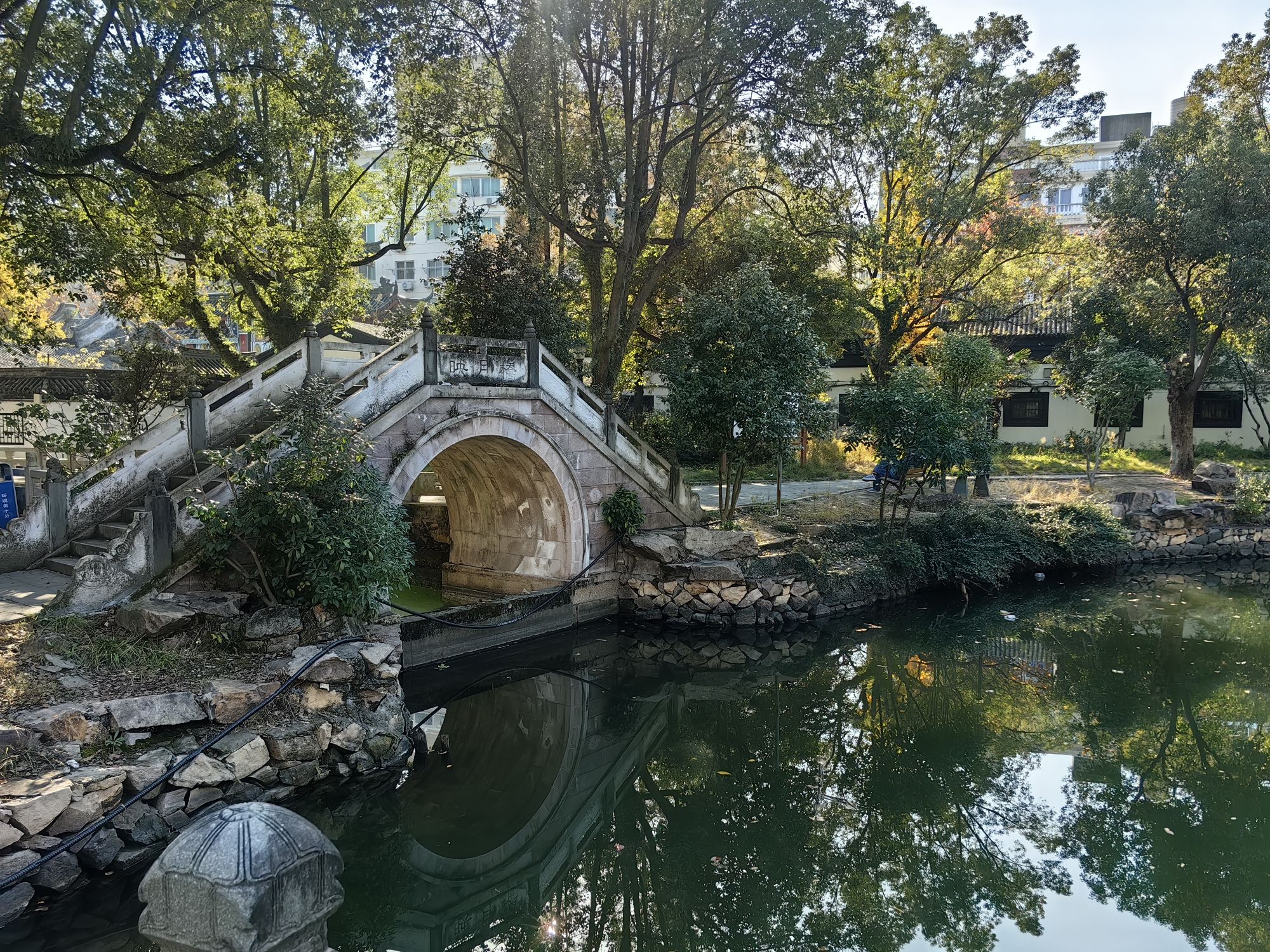 前岸公园旅行图片 1