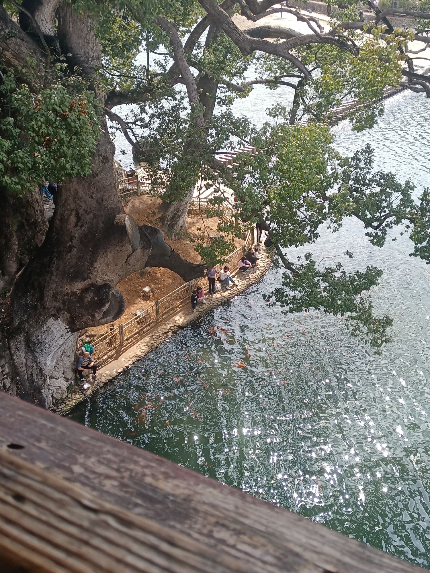 龙麒源旅行图片 1