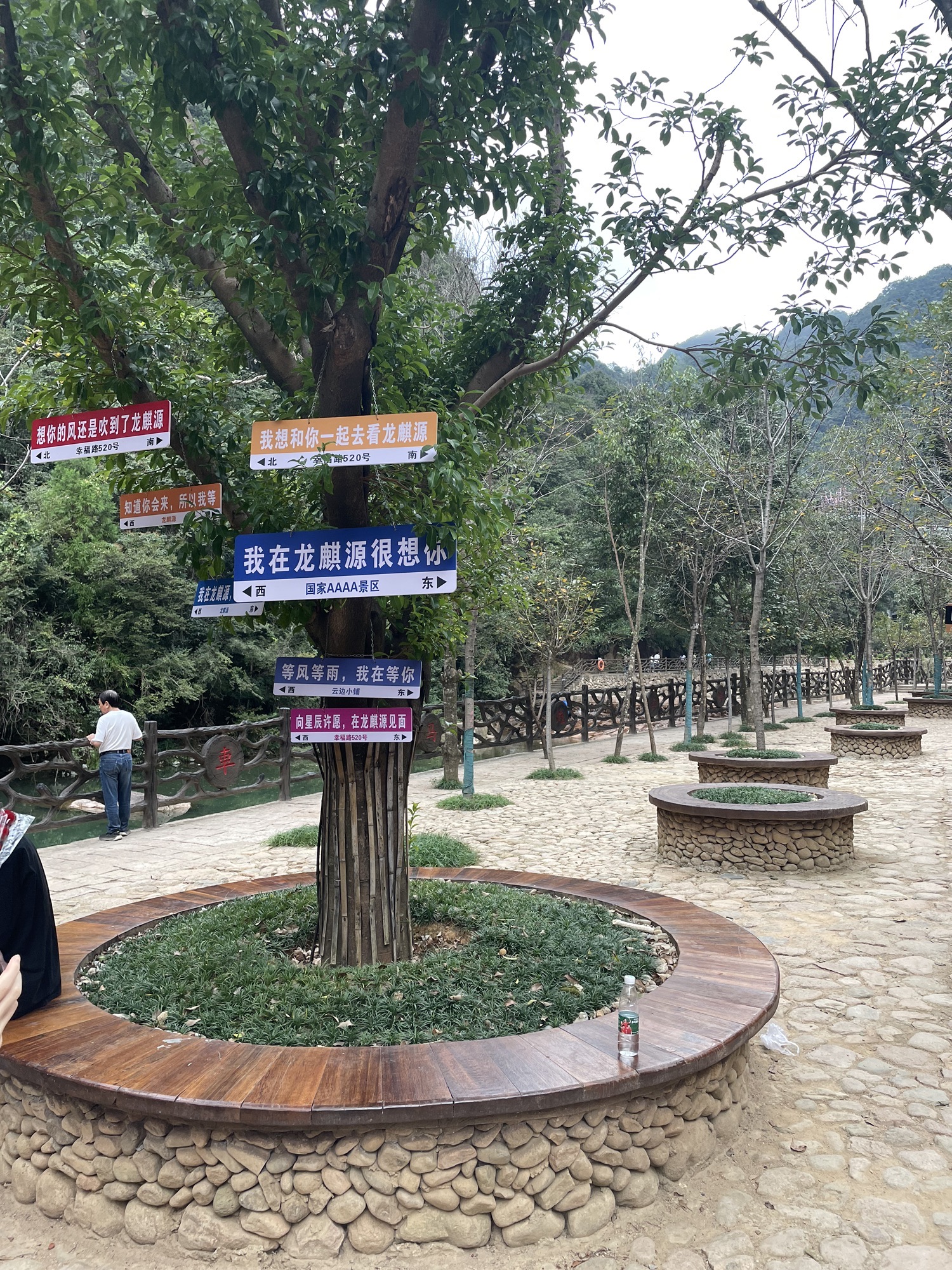 龙麒源旅行图片 2
