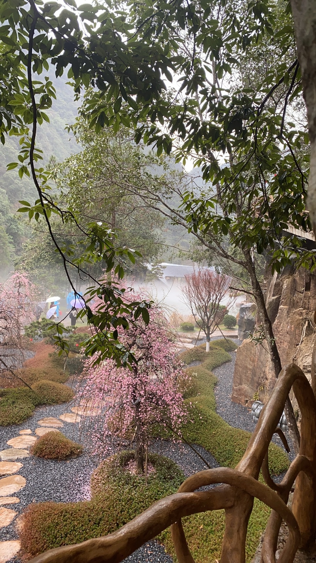 龙麒源旅行图片 3