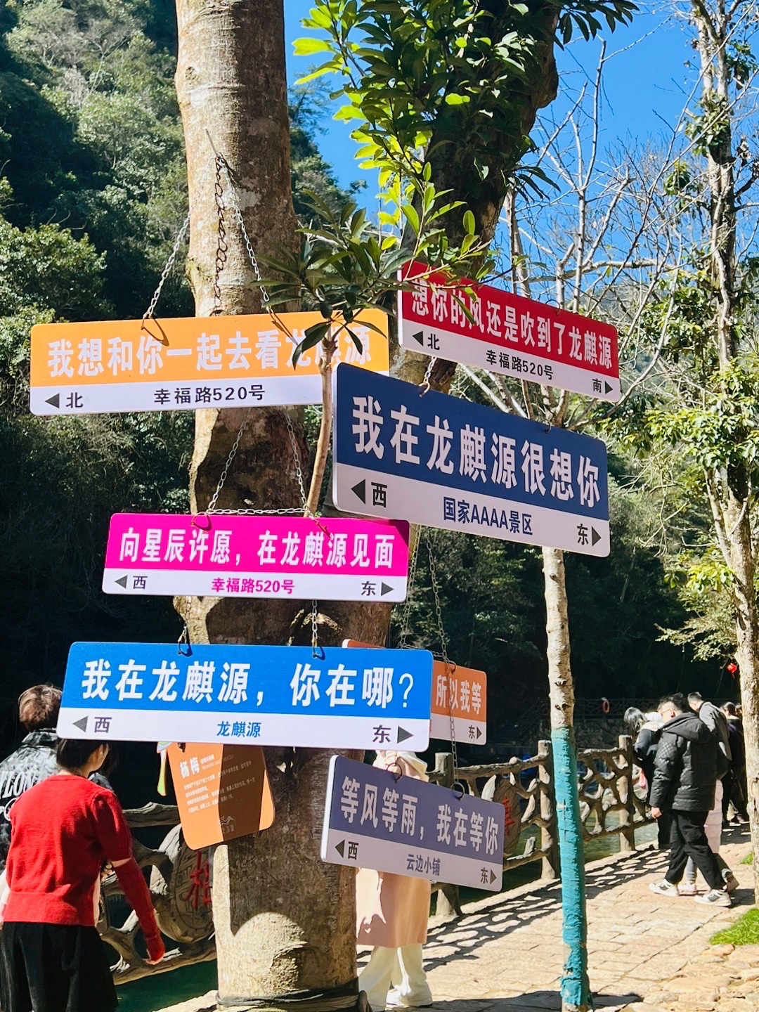 龙麒源旅行图片 1