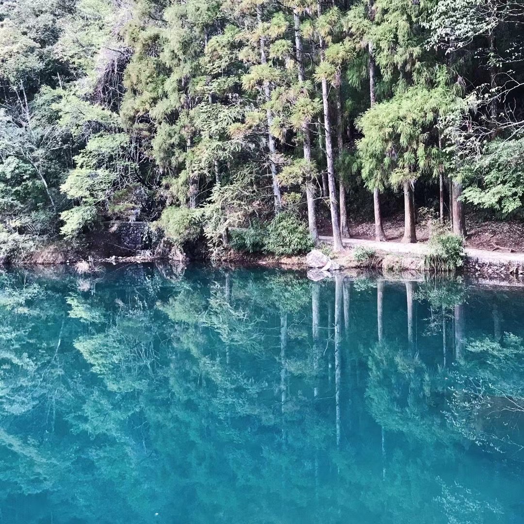 文成铜铃山森林公园景区旅行图片 2