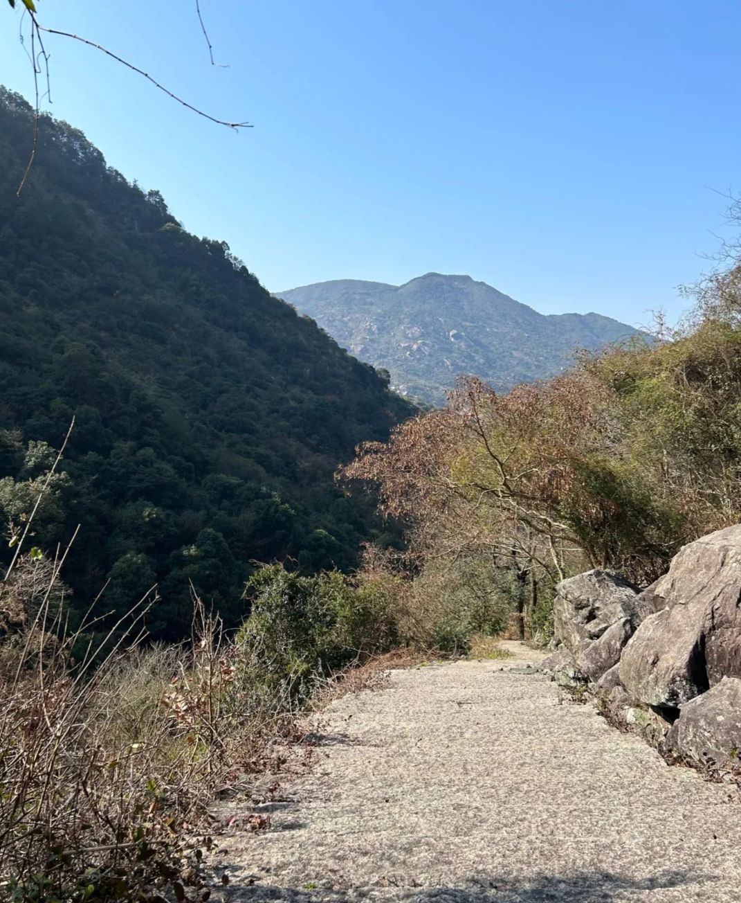 大罗山旅行图片 2