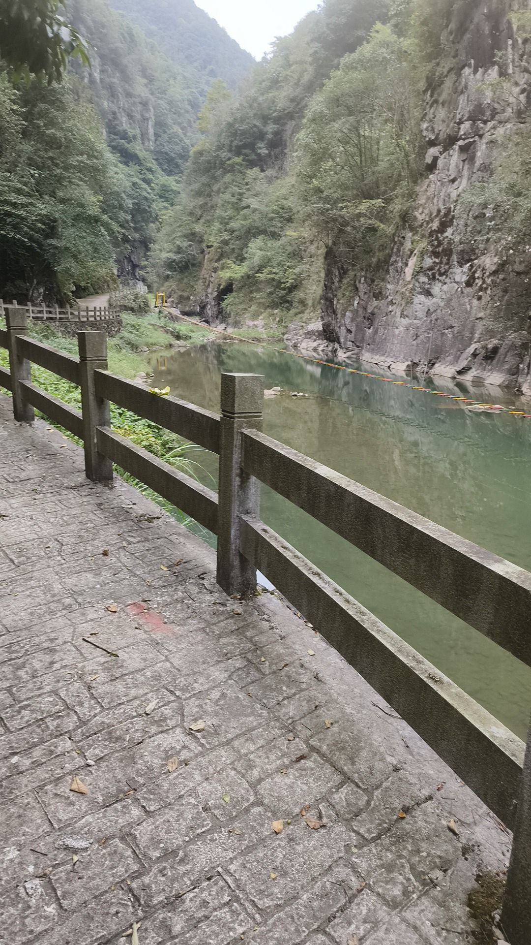 峡谷景廊旅行图片 1