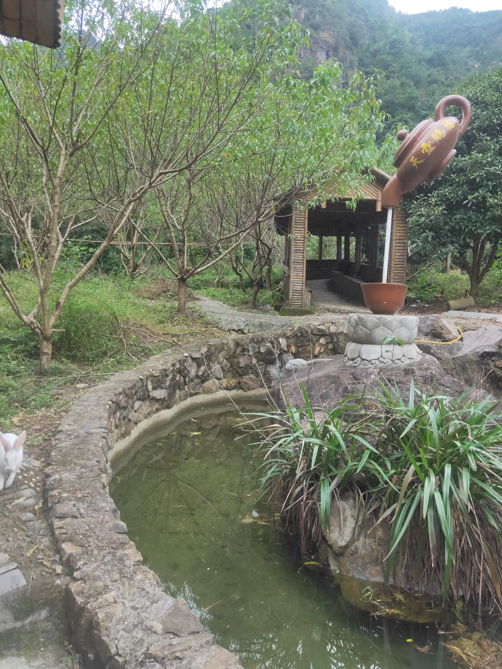 鲸头名胜风景区旅行图片 1