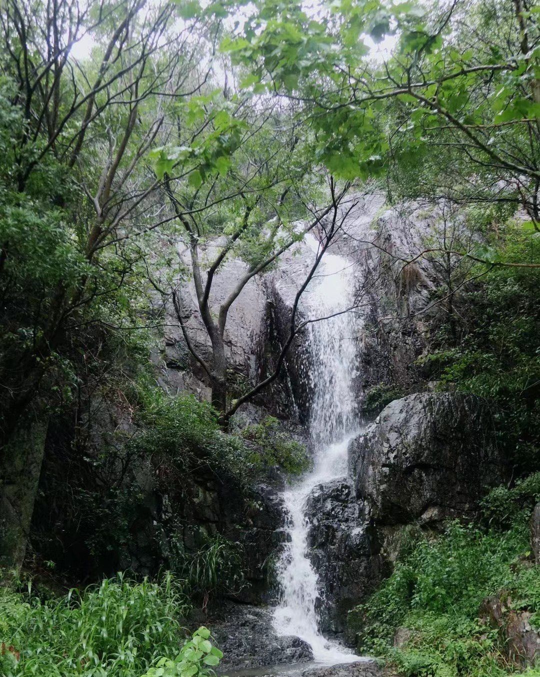 鲸头名胜风景区旅行图片 2