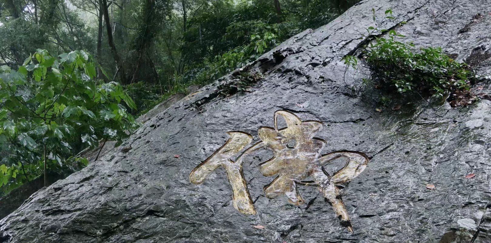 鲸头名胜风景区旅行图片 3