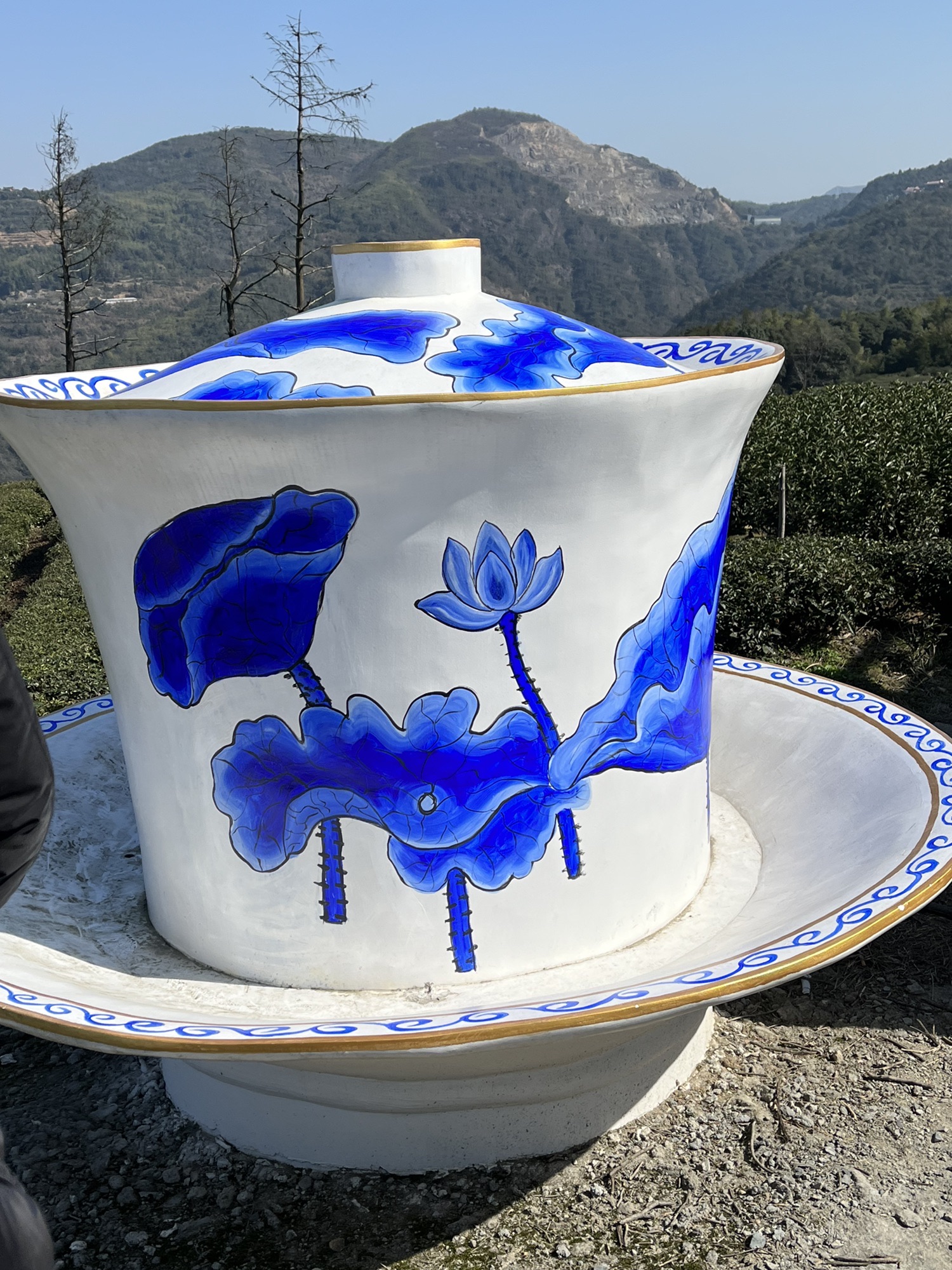 五凤香茗园旅行图片 1
