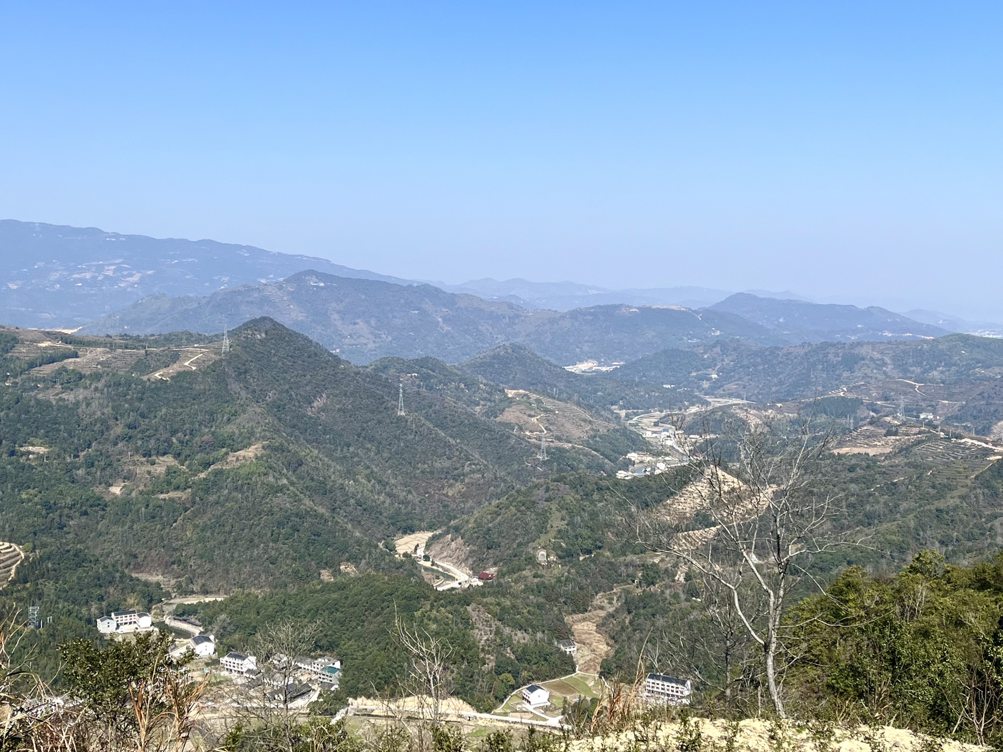 五凤香茗园旅行图片 3
