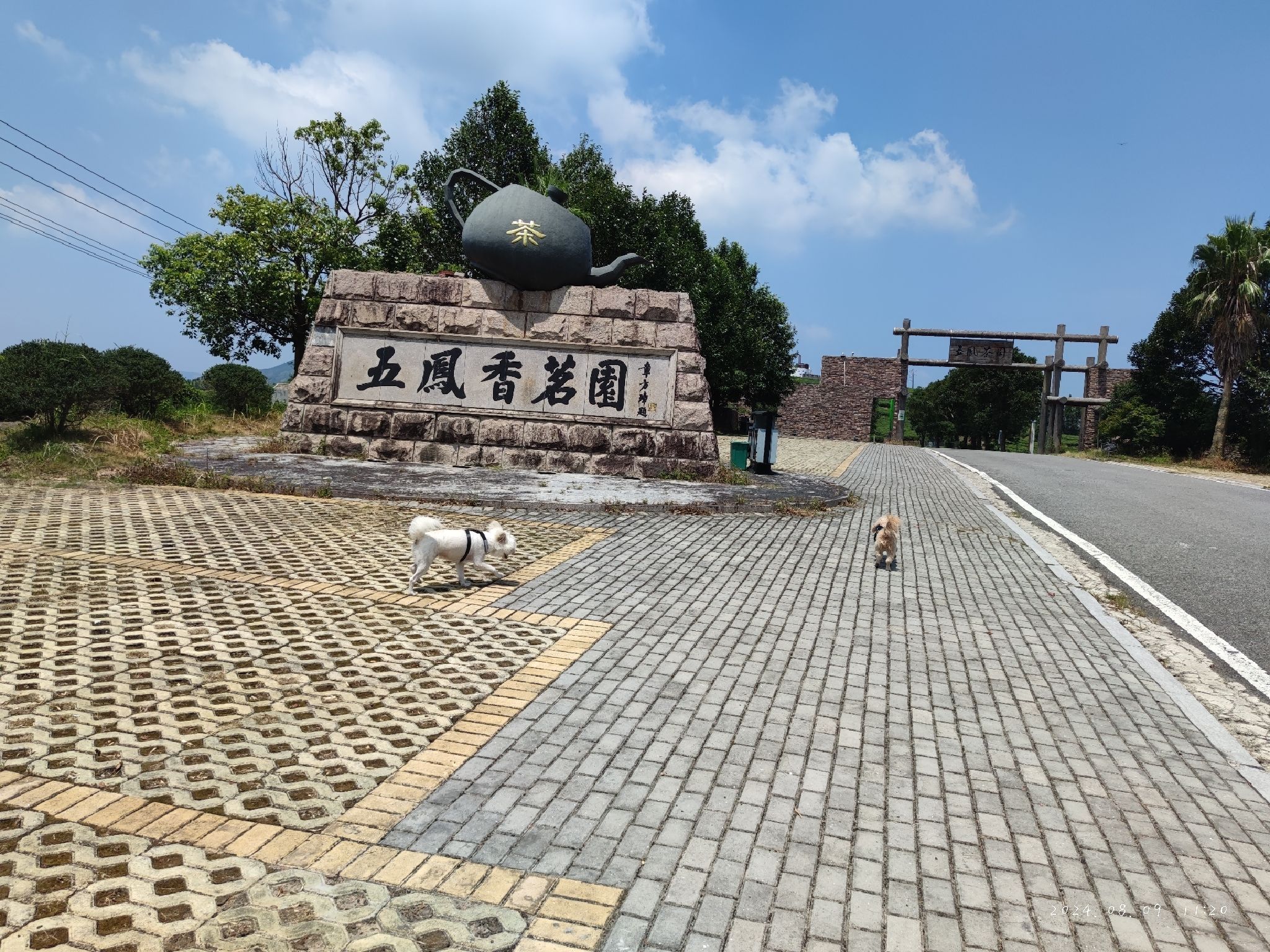 五凤香茗园旅行图片 1