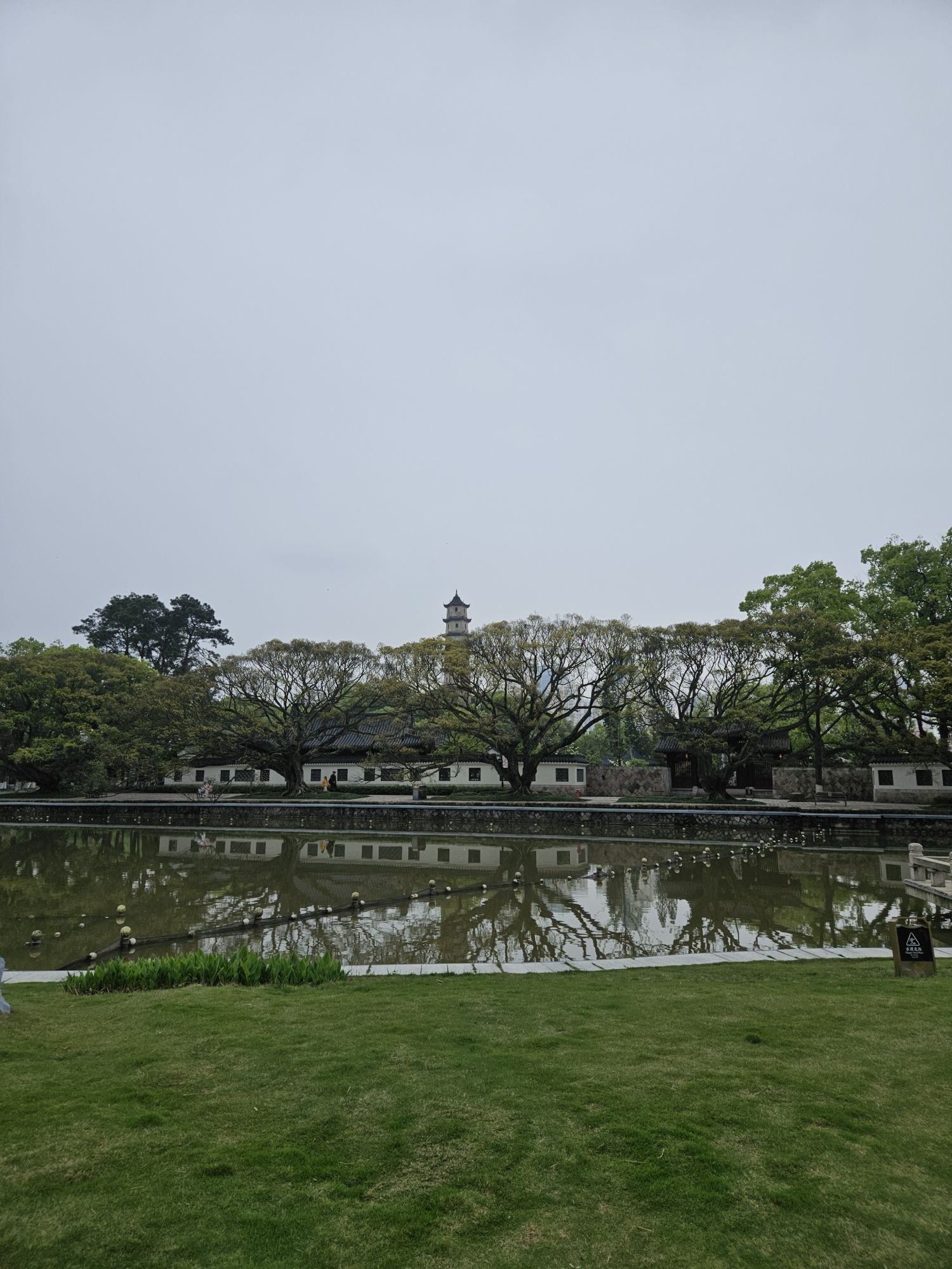 江心屿旅行图片 1