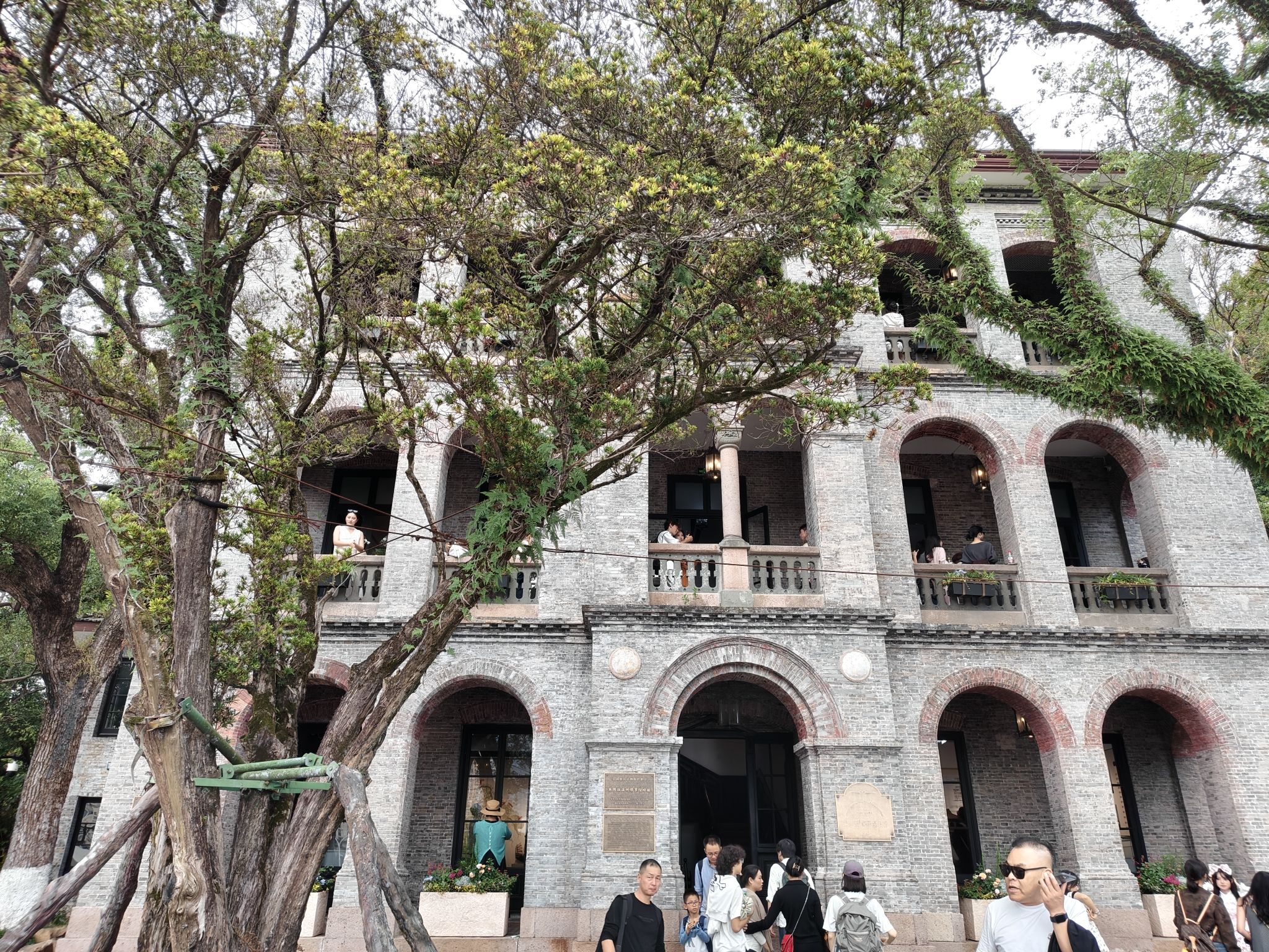江心屿旅行图片 2