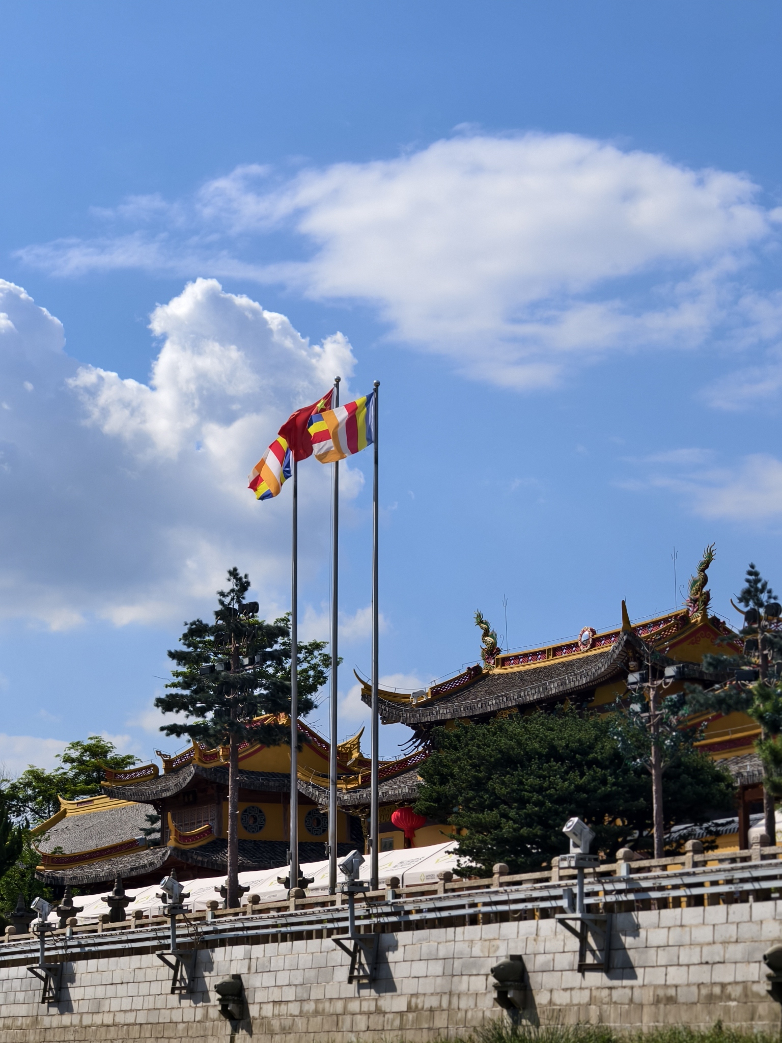江心屿旅行图片 3