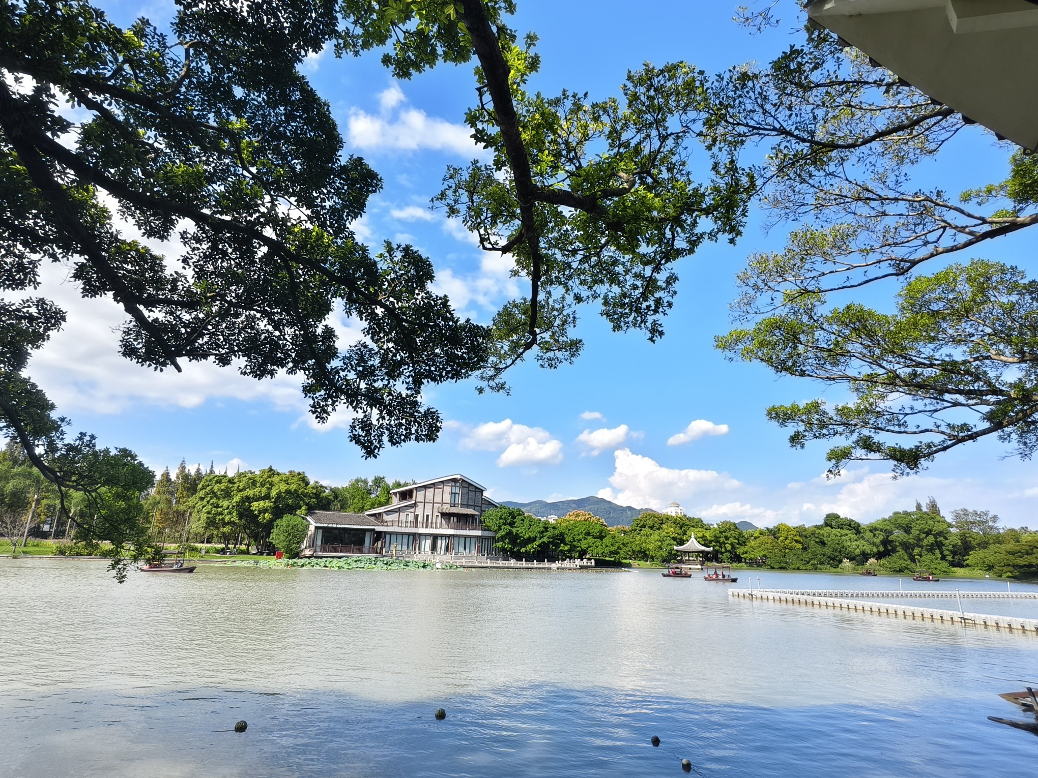 江心屿旅行图片 1