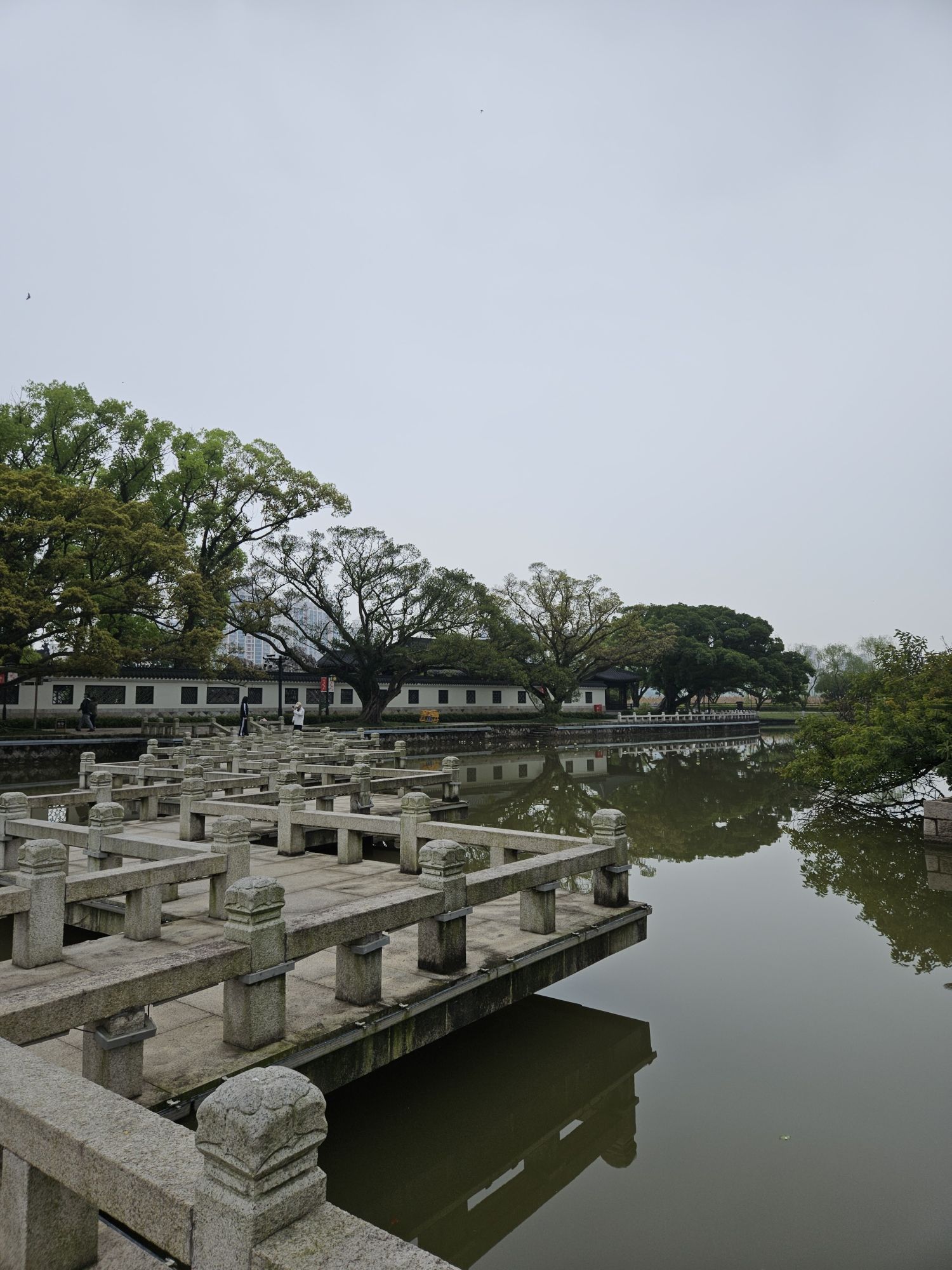 江心屿旅行图片 3