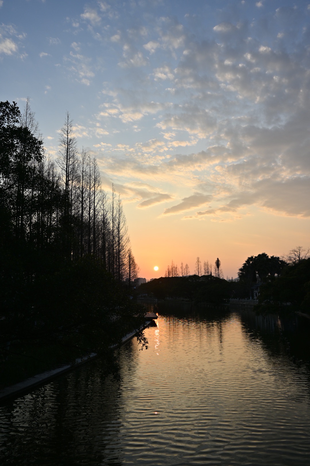 江心屿旅行图片 1