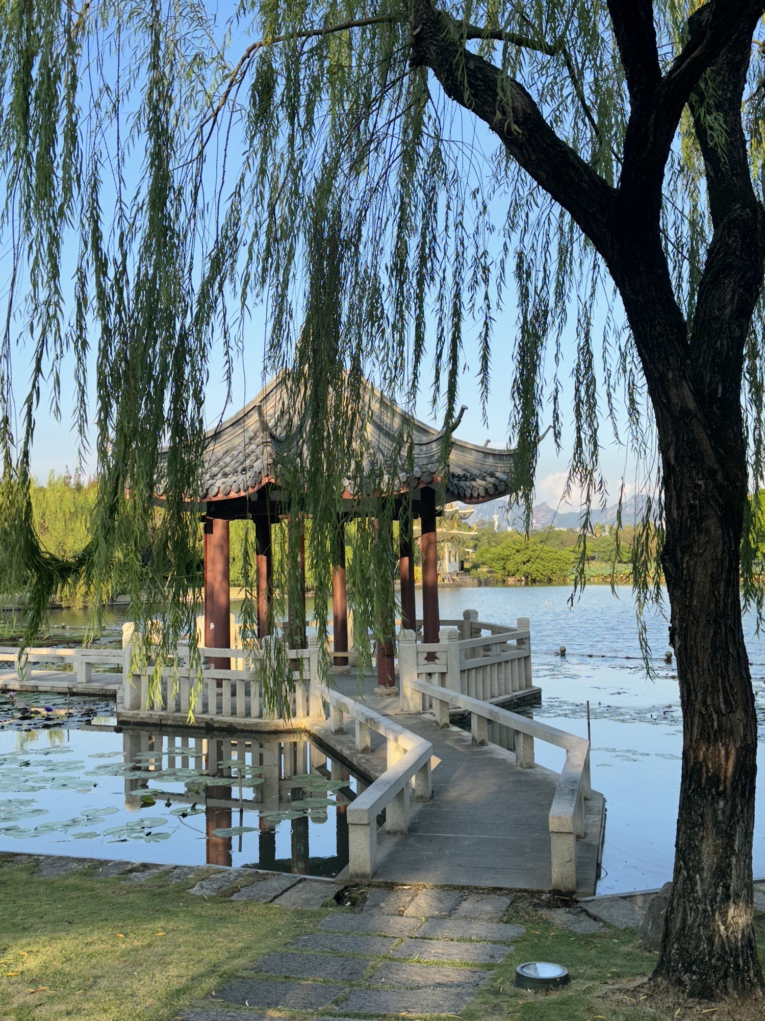 江心屿旅行图片 3
